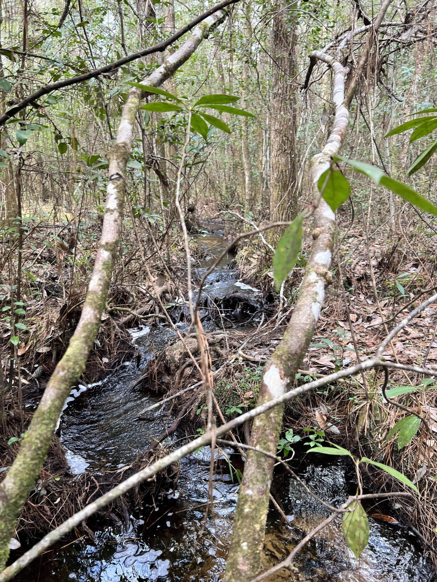 NORTH SUPERGROUP - Land