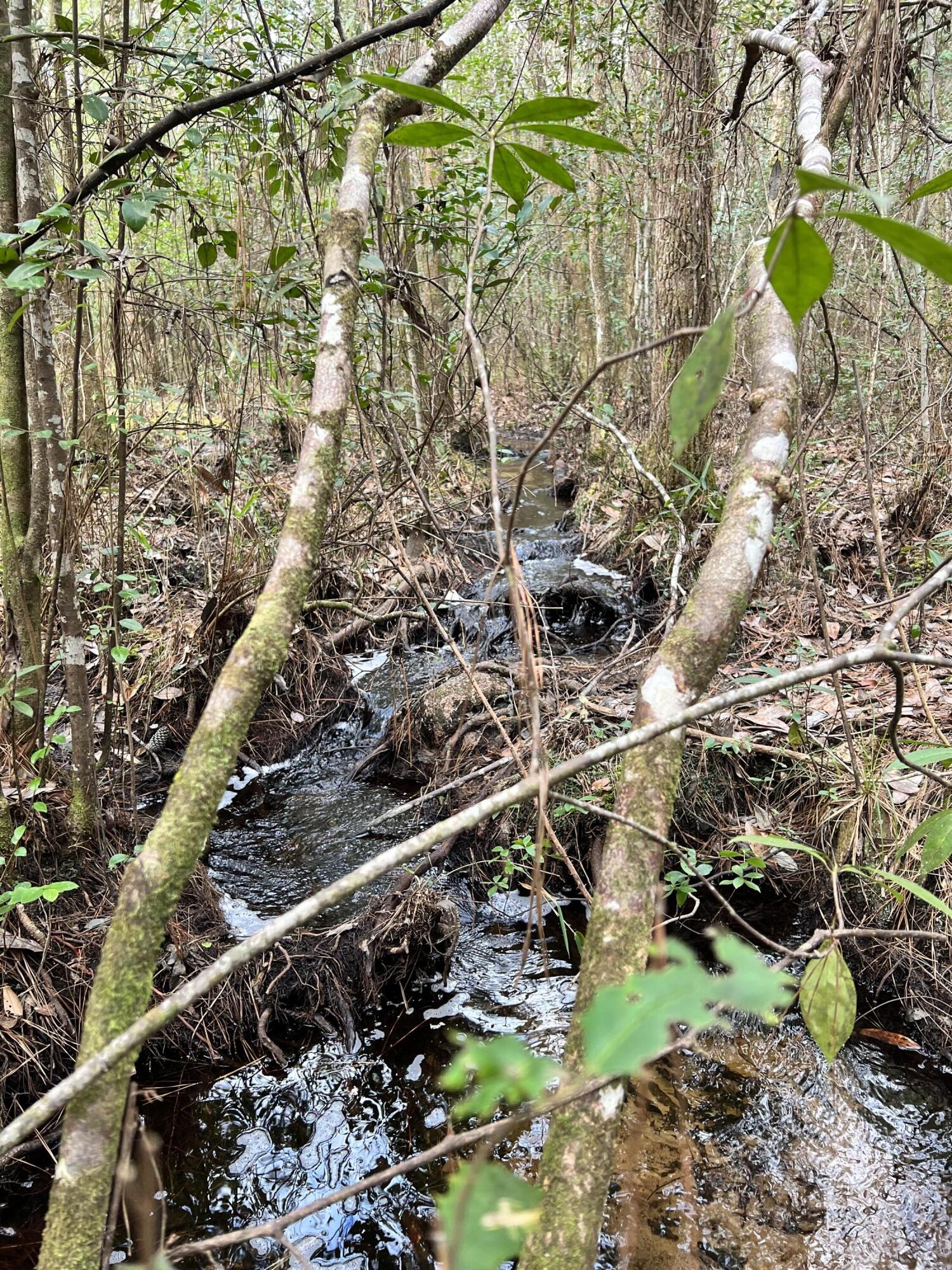 NORTH SUPERGROUP - Land