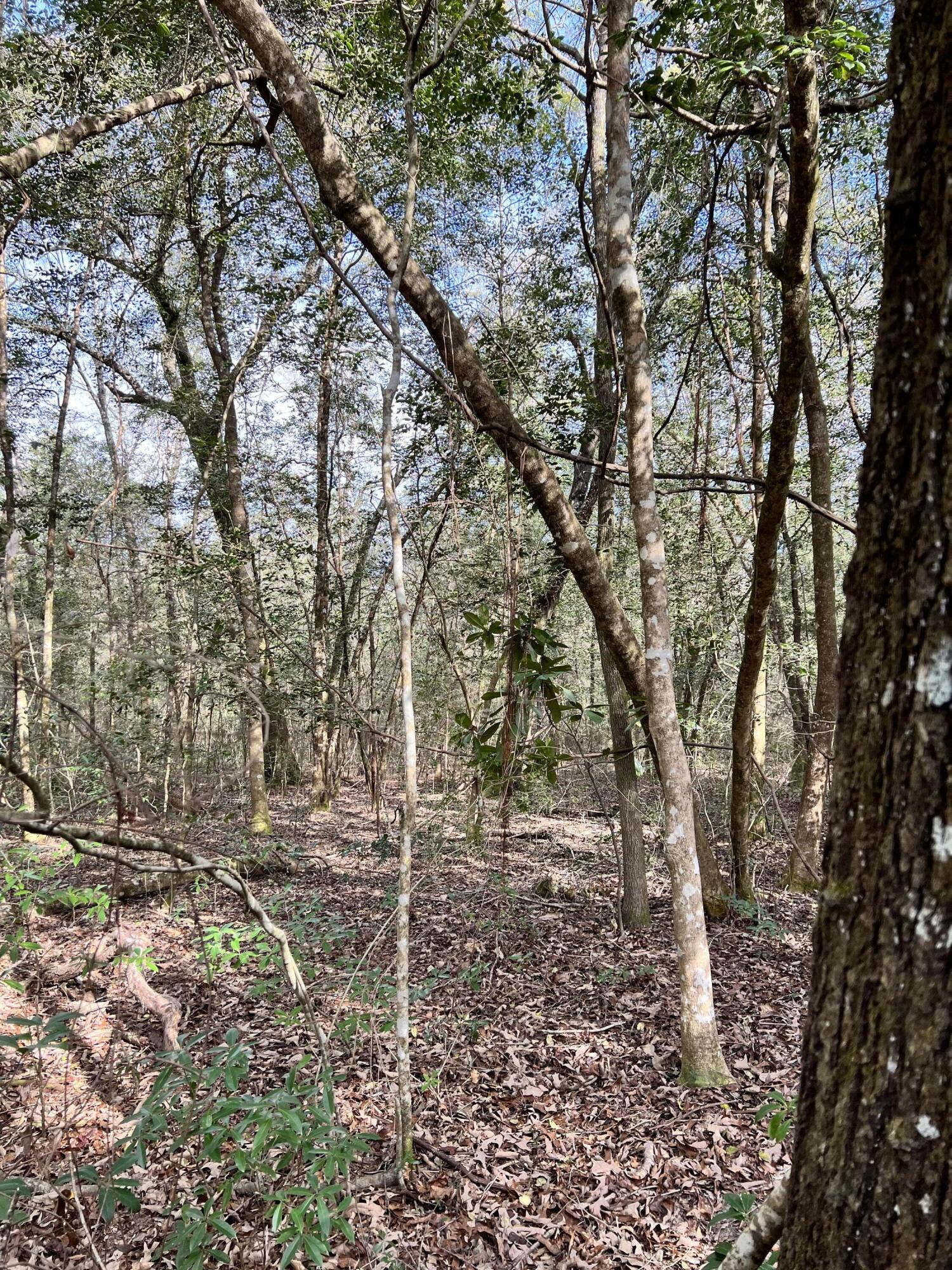 NORTH SUPERGROUP - Land