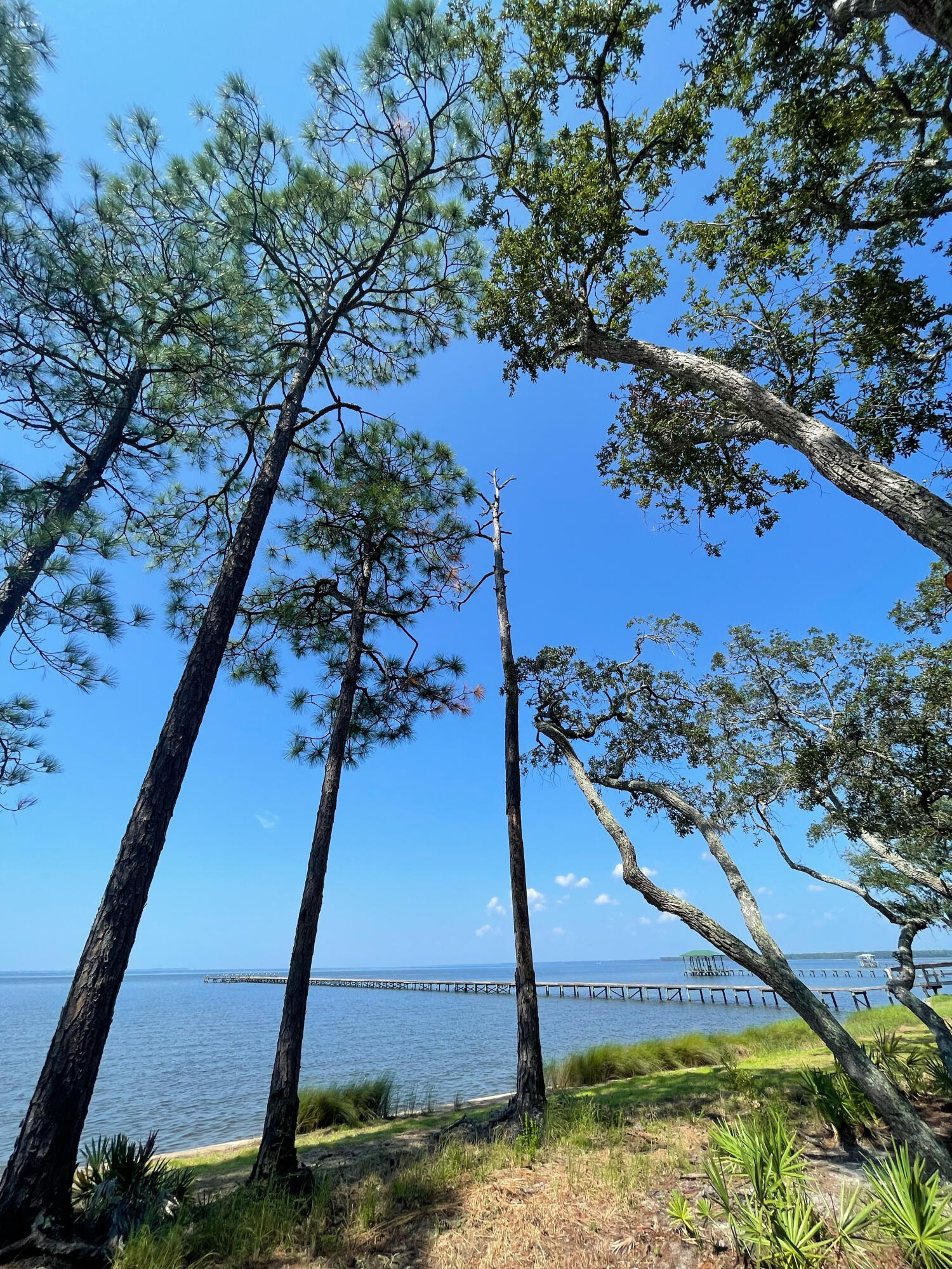 HAMMOCK BAY/Steamboat Landing - Land