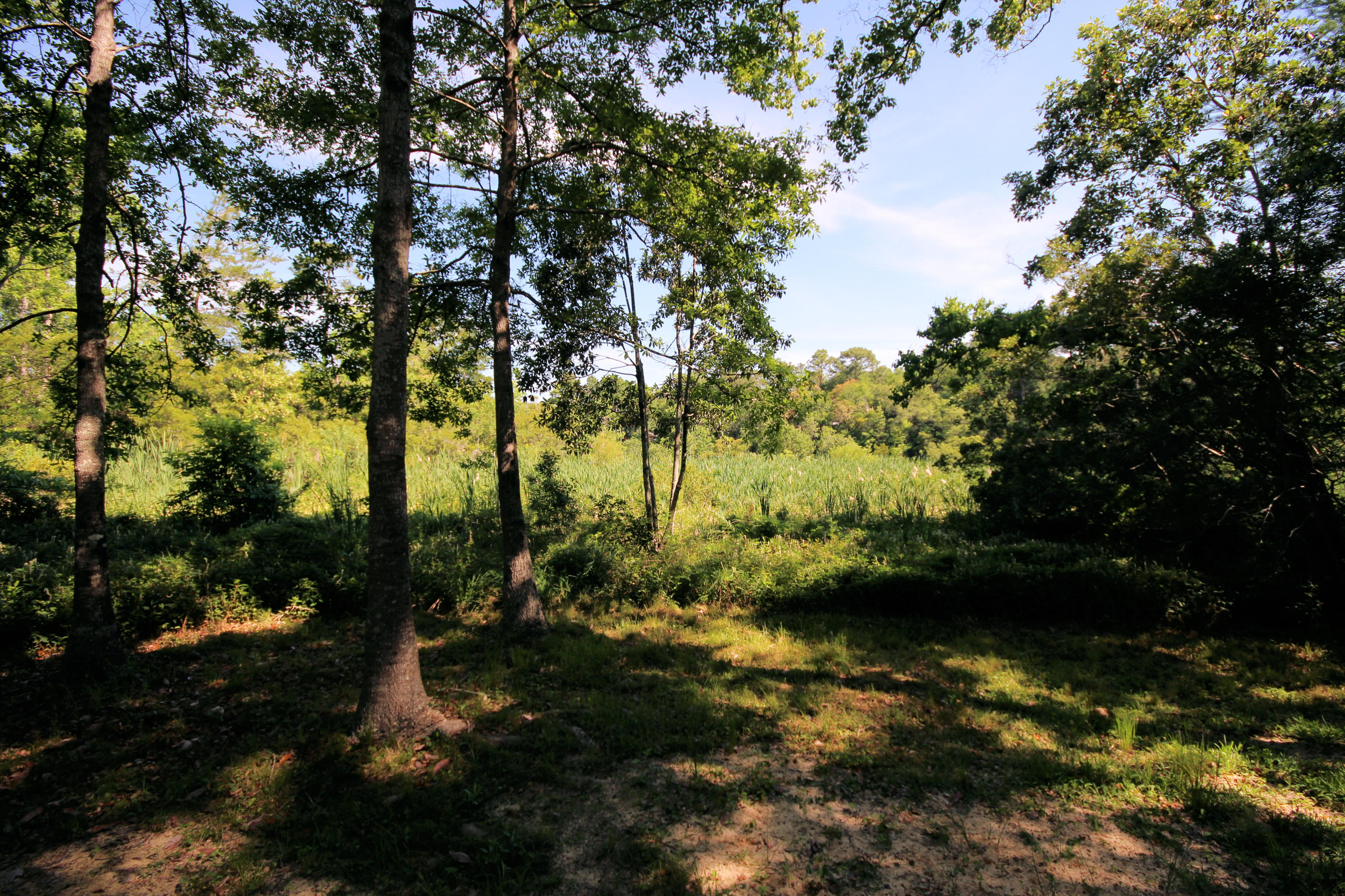 PALM CREST - Residential