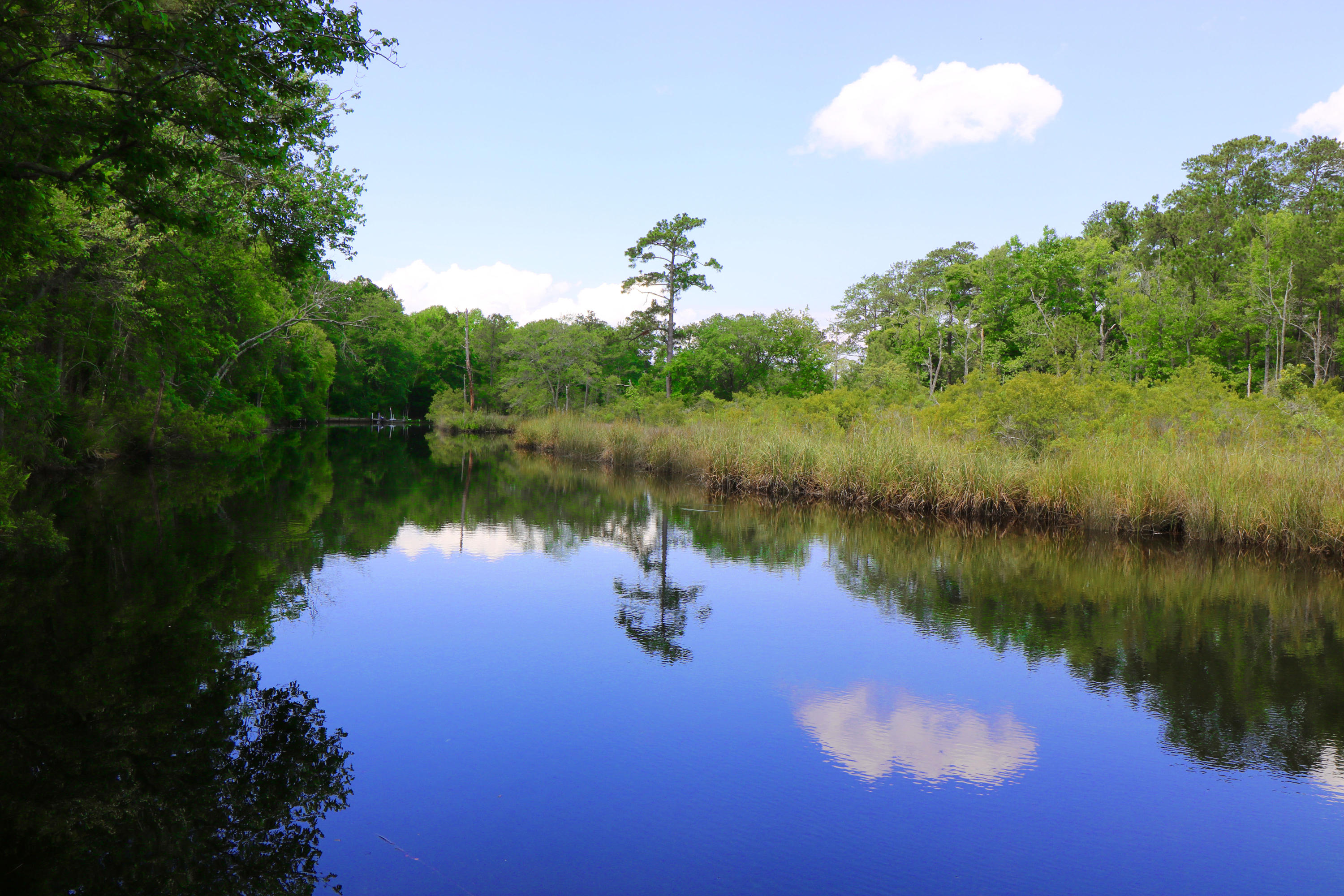 ''RAMSEY BRANCH AT THE Y'' WATERFRONT LOCATION is PRIME as it is approx. 1.5 miles South of the Publix shopping center site. 1460+/- ft of waterfront! Access to Ramsey Branch Rd is from the newly 4 laned HWY 331 with turn lanes & traffic lights at the intersection. Small boats, kayaks, yolos, and canoes can travel from the property's waterway to the Gulf of Mexico. 14.82 acres zoned Residential/Commercial-Mixed Use. 8 units/acre for single family and 14 units/acre for multi-family. 11.1 acres are high & dry & 2.71 acres are wetland according to a 2005 study.Possible highest and best uses for the property are an RV/park model park or a subdivision with homes/apartments/condos/ and light commercial.
