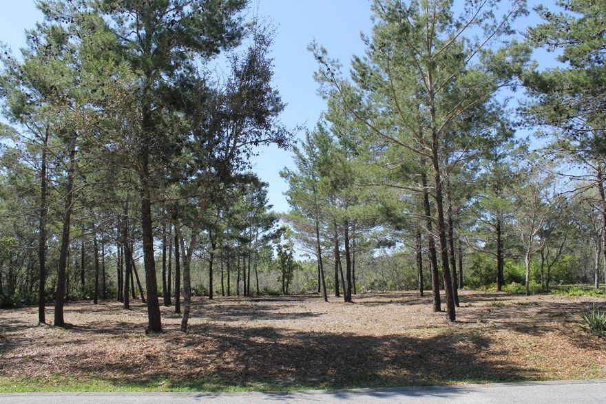 BOAT SLIP INCLUDED!! Beautiful and ready for your DREAM HOME. Property is mostly cleared in a great location. This Property also backs up to conservation land so you will have the peaceful surroundings behind you. Having a home built on this lot will have you close to Grand Boulevard, Sacred Heart Hospital, and the beautiful white sand beaches of the Emerald Gulf Coast. This lot comes with an assigned boat slip on Hewitt Bayou with direct access to the Bay that is less that 1/4 mile. Great location for somebody that enjoys the water, but is in a nice quiet, private neighborhood. Lot is located in flood zone X. Lot dimensions are approximate and should be verified by buyer.