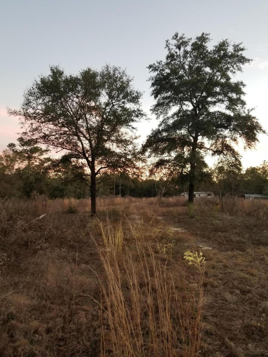 THIS PROPERTY COMES WITH SEPTIC, POWER AND WELL ALREADY IN PLACE.  A CONCRETE SLAB APPX 60x44 AND A CAMPER ON THE PROPERTY THAT STAYS. 2 OUT BUILDINGS (ONE WITH POWER) AND A TIKI HUT THAT HAS POWER TO IT.    IT HAS BEEN PARTIALLY CLEARED BUT THE GRASS NEEDS TO BE CUT,  THIS IS AN AMAZING PLACE ON A DEAD END ROAD SO YOU WILL HAVE PRIVACY AND VERY LITTLE TRAFFIC.  IT IS IN A GREAT LOCATION NEAR TOWN  AND ONLY 35 MINUTES TO THE SUGAR SAND BEACHES! PRICE TO SELL! THERE IS A SURVEY FROM WHEN PURCHASED.  BROKER IS RELATED TO SELLER.