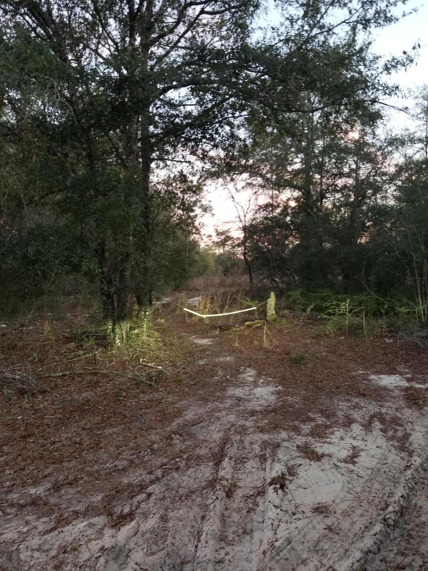 BONAVENTURE RANCHERO PH ll - Land