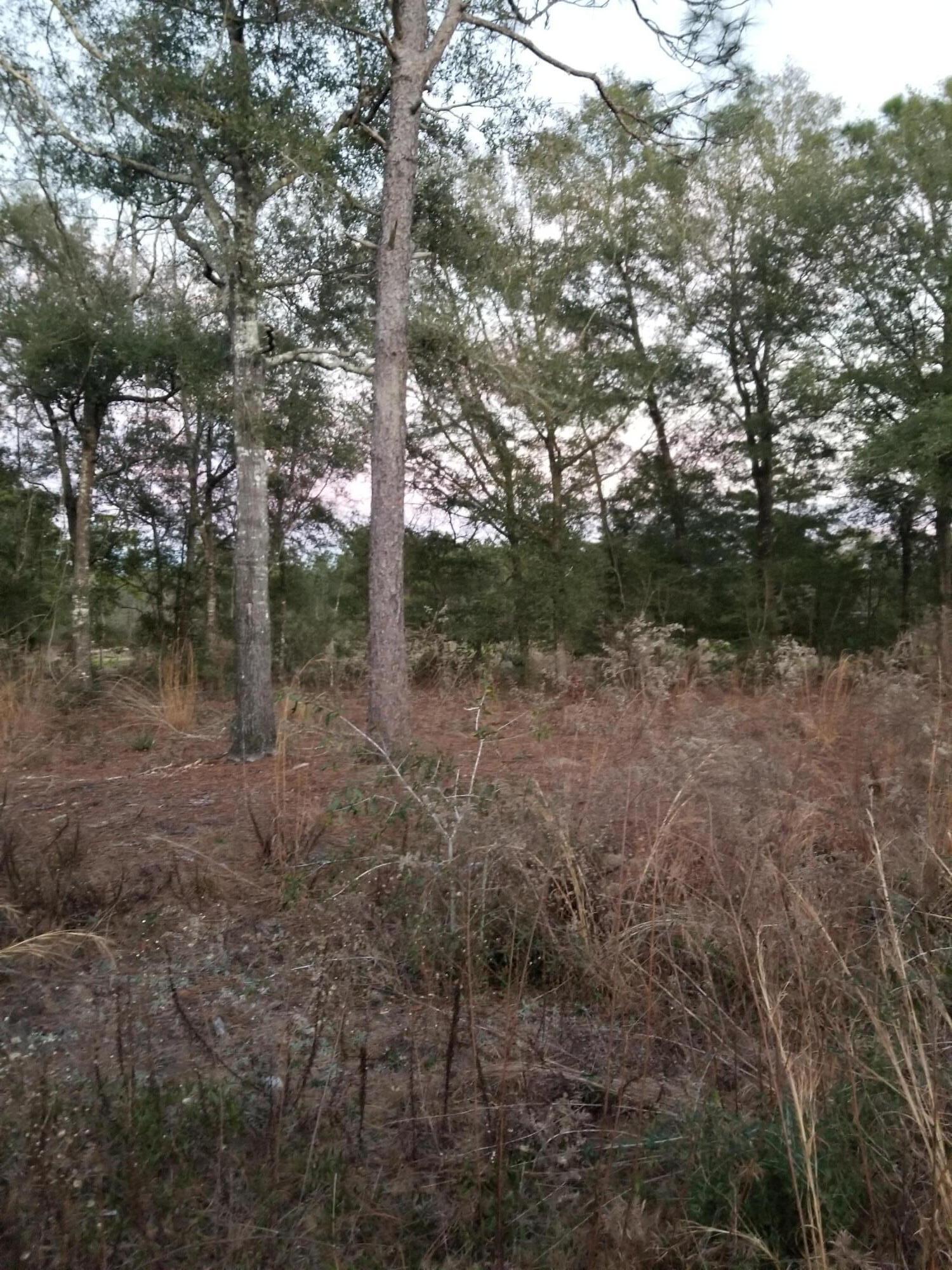 BONAVENTURE RANCHERO PH ll - Land