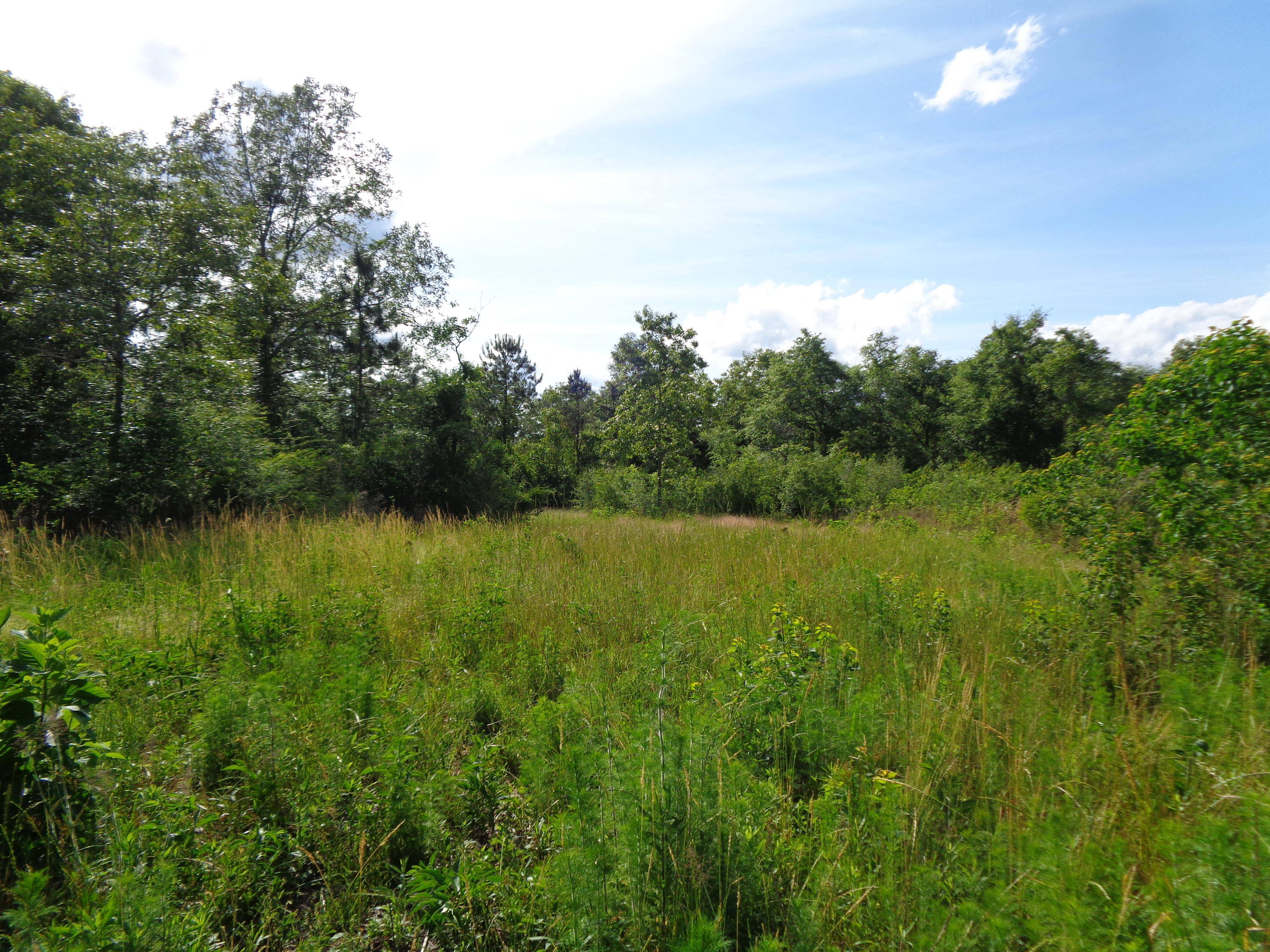 40 acres of natural woodlands of Red Oaks, Live Oaks, Pines and Hickory. Trails are throughout the property plus an abundance of wildlife. Property affords lots of privacy. NWFWMD maps show property is 91% uplands (Zone X) and only 9% wetlands (Zone A). A small creek is within the wetlands. If you are looking for Paradise in the Country, this is it. Shown by appointment only.