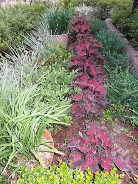 HOMEWOOD S/D - Residential