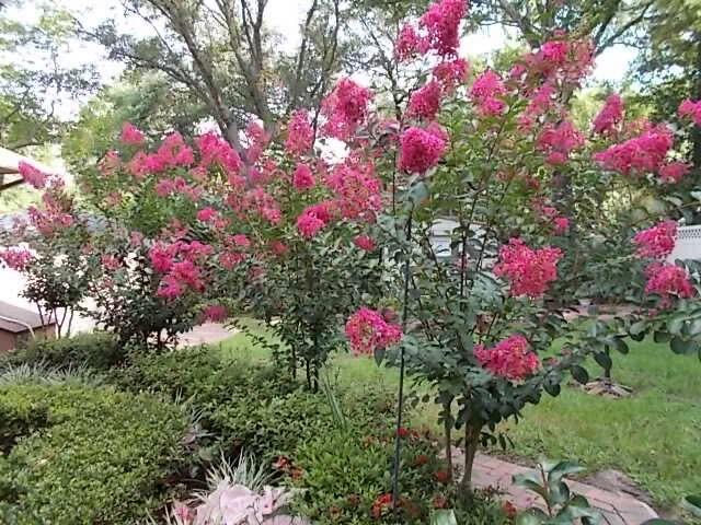 HOMEWOOD S/D - Residential