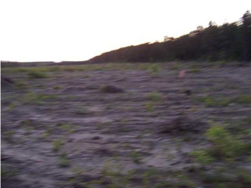 Beautiful piece of property on a paved road in the Liberty community. These almost 22 acres would make the perfect country homesite with a small creek at the rear of the property. Great location for privacy while only 15 minutes to DeFuniak. Perfect for horses. Nice level Land. So bring your building plans or Mobile home for your country home today! Property has had the trees cut and is easy to view. Nice private setting on a paved road with hardly any neighbors in sight, but sill only 15 minutes from town and less than an hour to the beautiful beaches of the Emerald Coast. Owner is in the process of planting grass on the property.