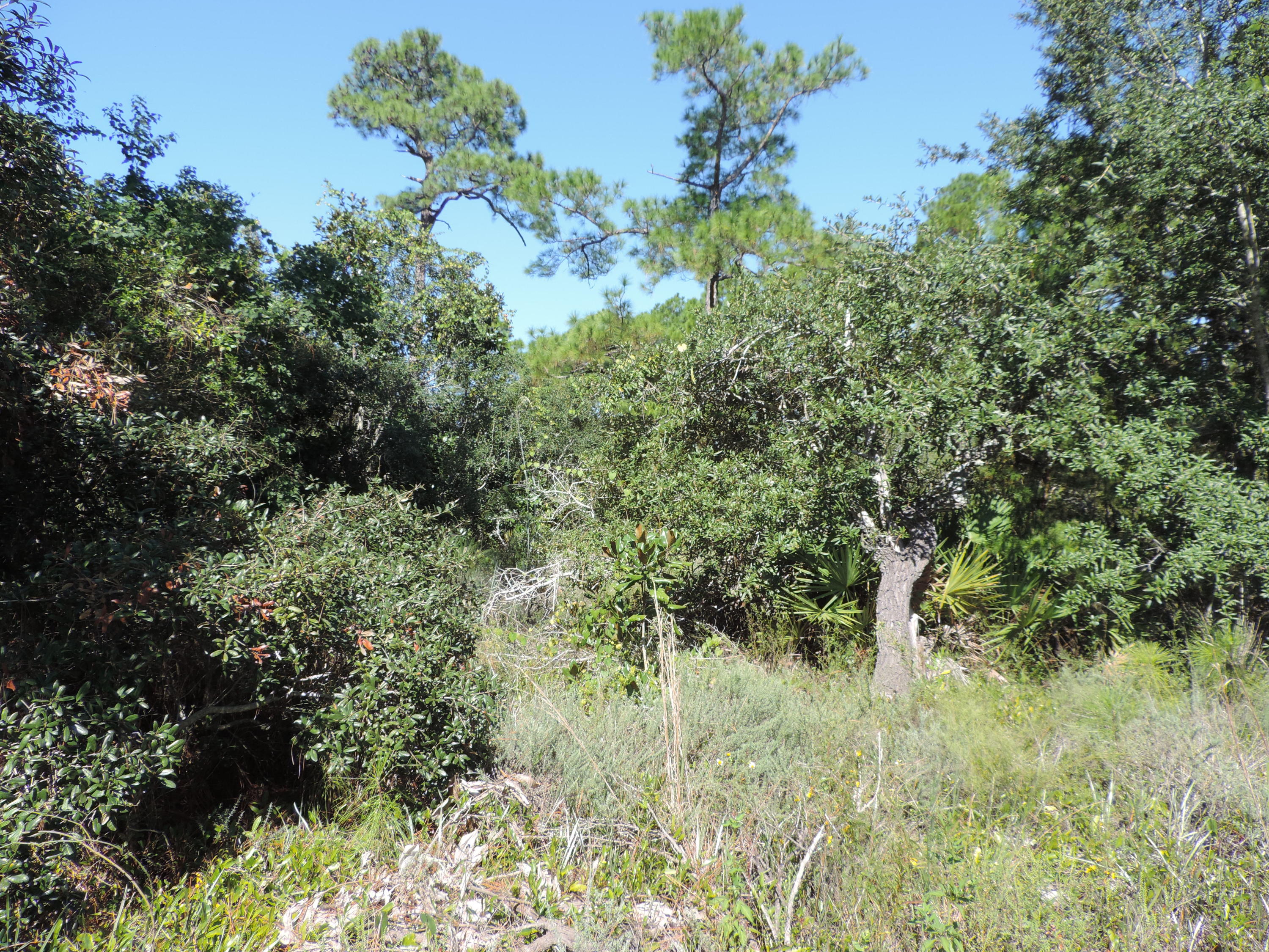 HOLLEY BY THE SEA - Land