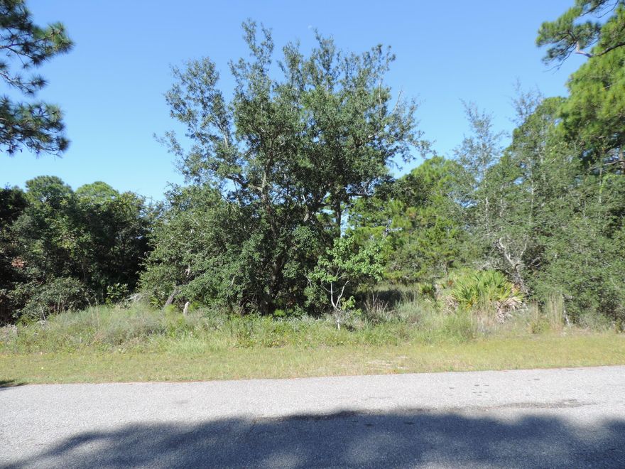 Beautiful level corner lot located in Holley By The Sea. Sewer and water appear to go past lot. Enjoy all the benefits of the Holley By The Sea Association. Only minutes from the beautiful Gulf beaches on Navarre Beach.