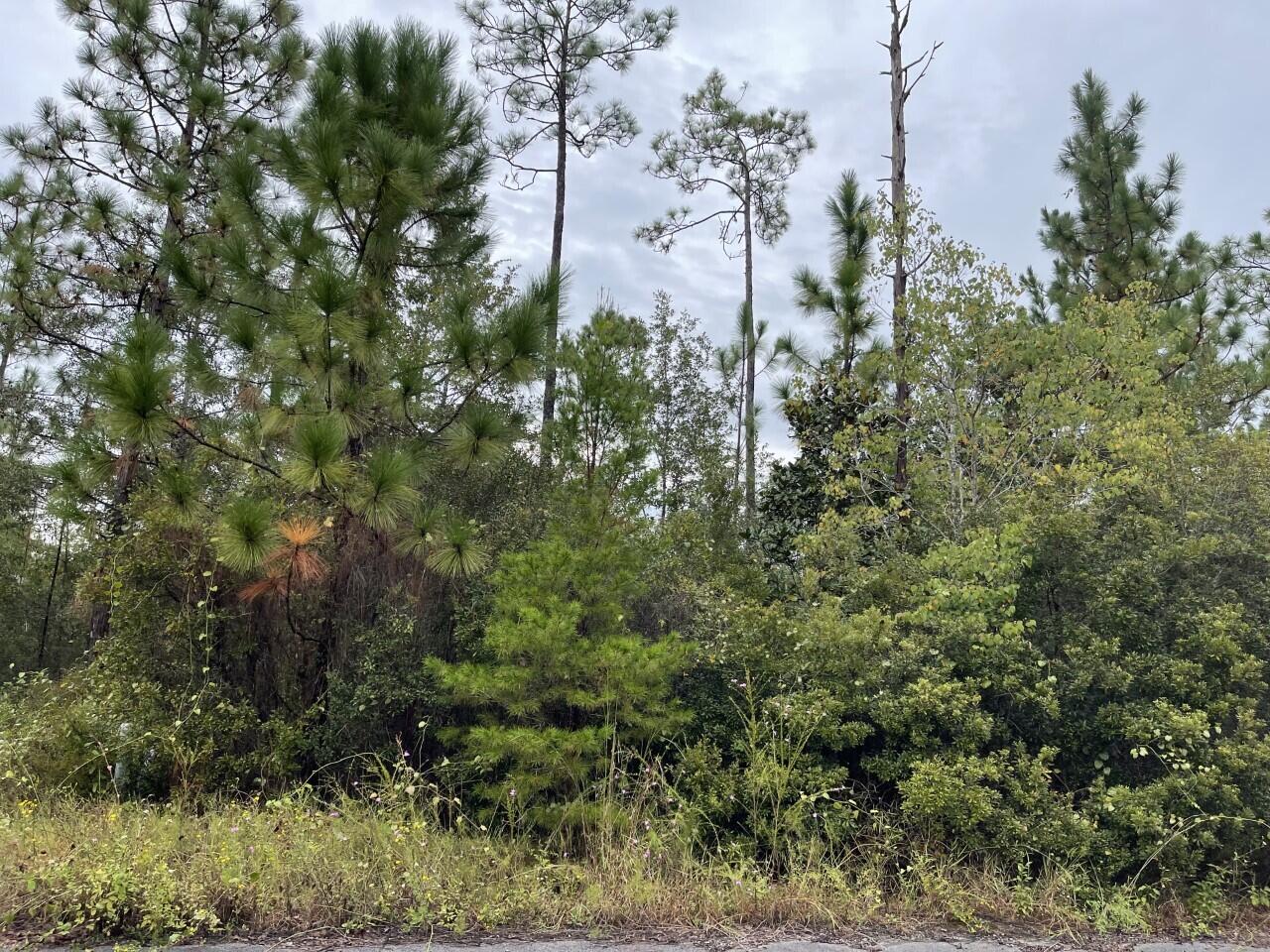 Lovely wooded lot ready to build! TAP fees are paid!! No HOA. Lot located on a paved road within 1-2 miles of all (3) Freeport schools as well as centrally located between Panama City Beach and Fort Walton Beach FL. You will love this small community tucked away in the quaint little town of Freeport FL with close proximity to Florida's Sandy White Beaches of the Gulf Coast, Choctawhatchee Bay as well as (3) Florida springs. Restrictions apply. No mobile home allowed. All information is deemed to be accurate. Buyers are responsible to verify all information.