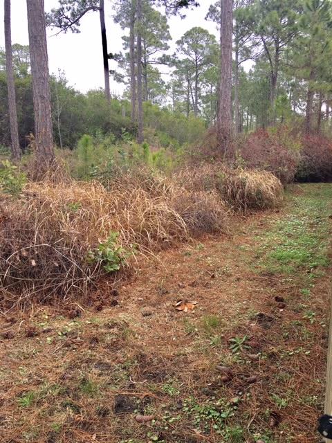 CREETWOOD PLACE - Residential