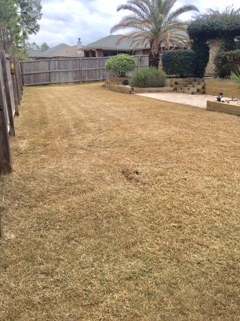 CREETWOOD PLACE - Residential