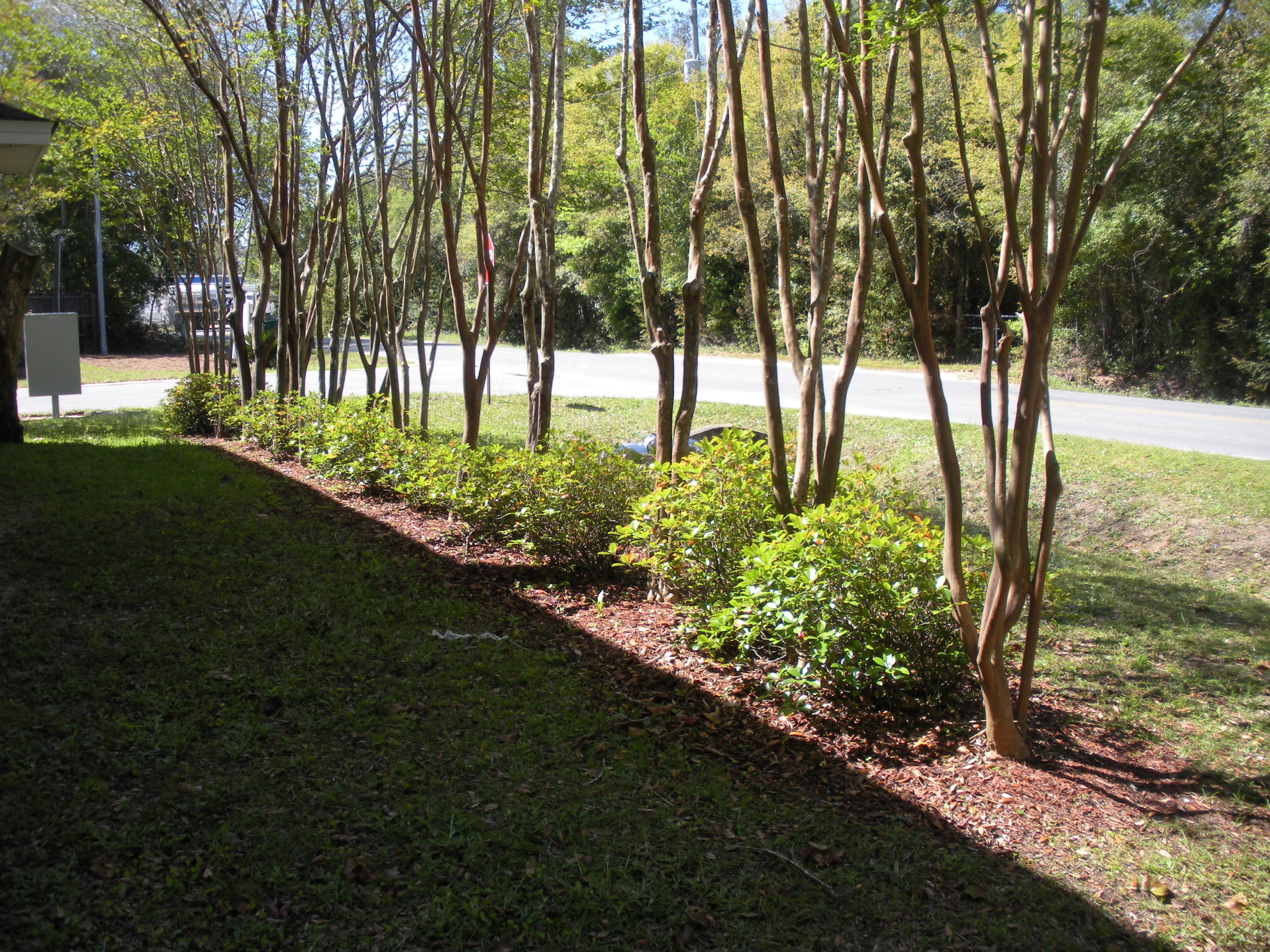 Forest Way T/H - Residential