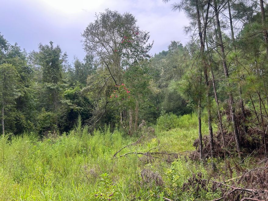 Make this vacant acreage near Ponce de Leon your new home.  Plenty of room to have a garden, animals, and privacy.  Property fronts a county maintained dirt road a short distance to school, post office, and small town grocery store.  Easy access to I-10 for quick travel East to West. Beaches within a 45 minute drive. Trailers allowed.  Older septic on property but seller does not guarantee condition.  Land is wooded.