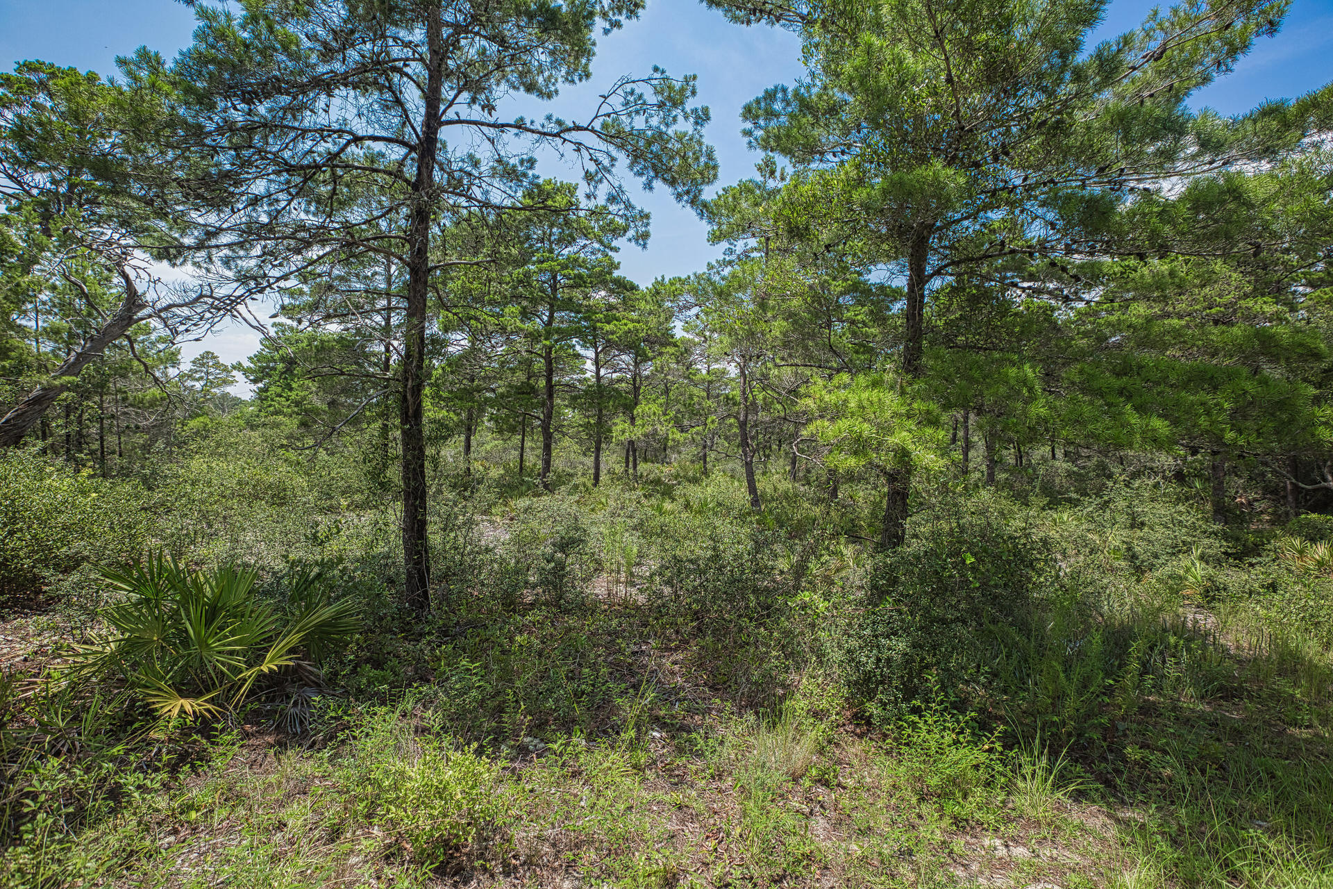 SANTA ROSA RIDGE UNIT 1 - Land