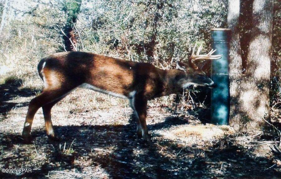 NO RECORDED SUBDIVISION - Land