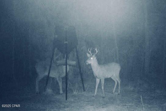 NO RECORDED SUBDIVISION - Land