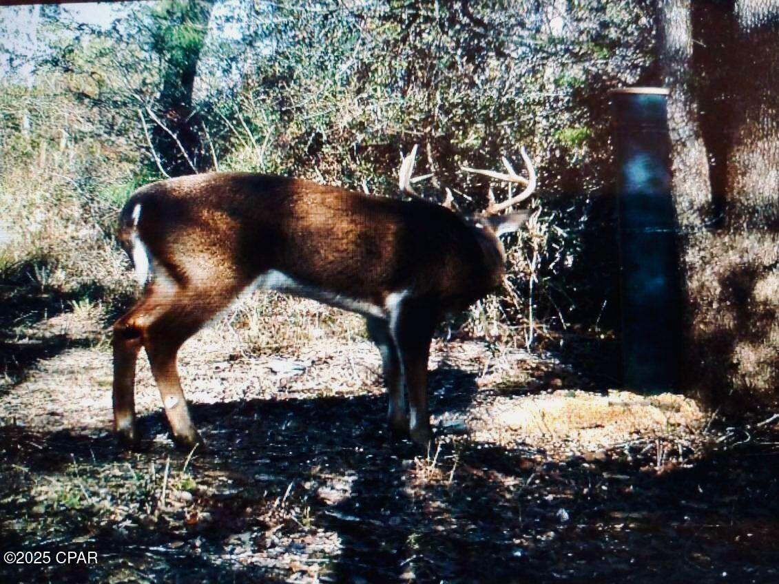 NO RECORDED SUBDIVISION - Land