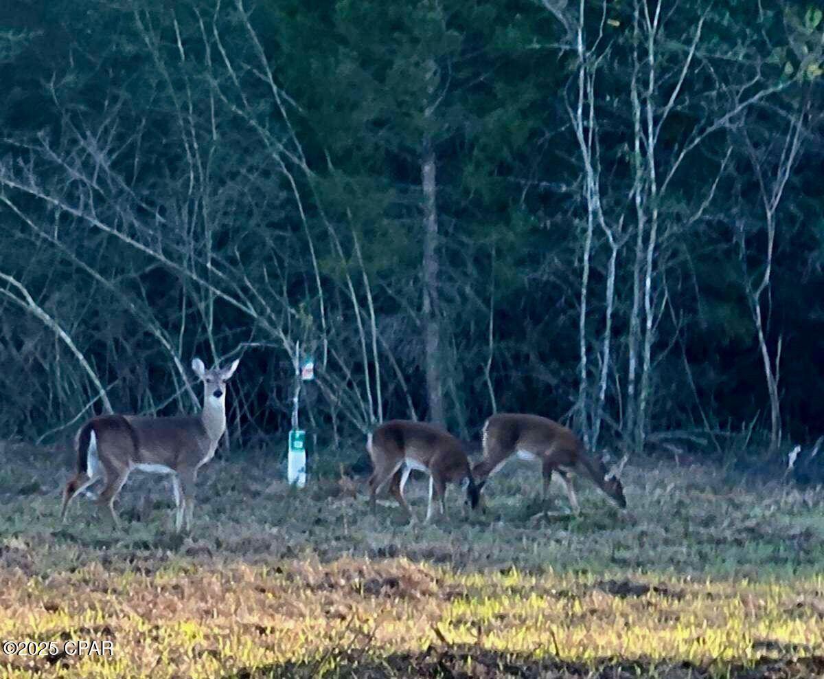 NO RECORDED SUBDIVISION - Land