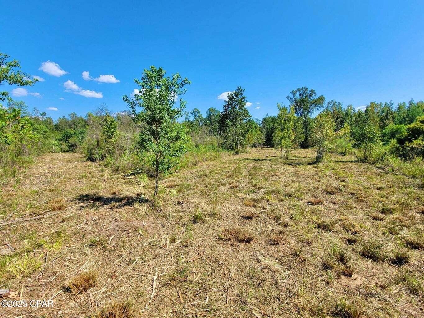 NO RECORDED SUBDIVISION - Land