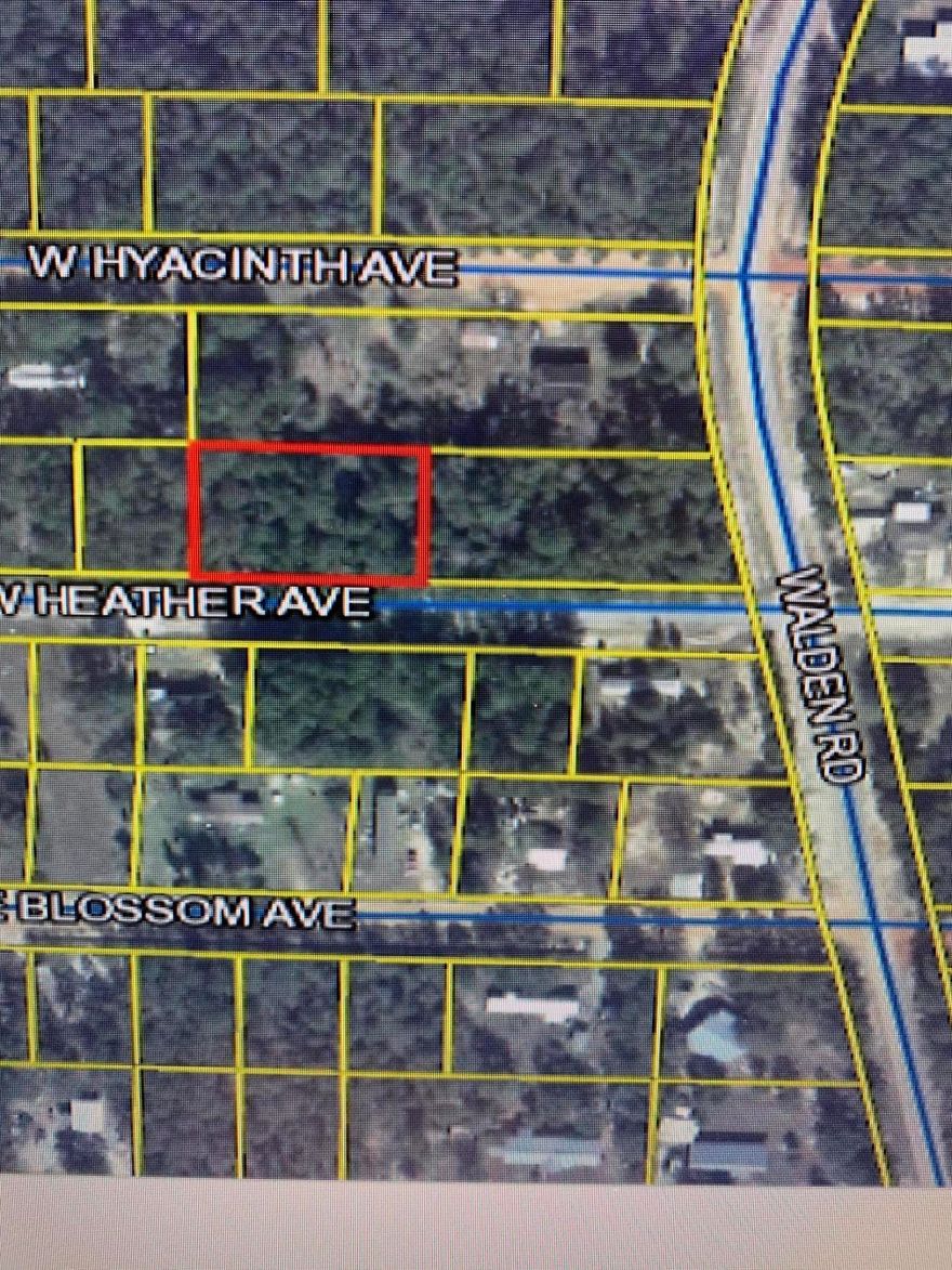 Two great lots between Defuniak Springs and Crestview.  These lots are wooded and are being sold together.  If you are looking for 2 lots to build definitely take a look at these.