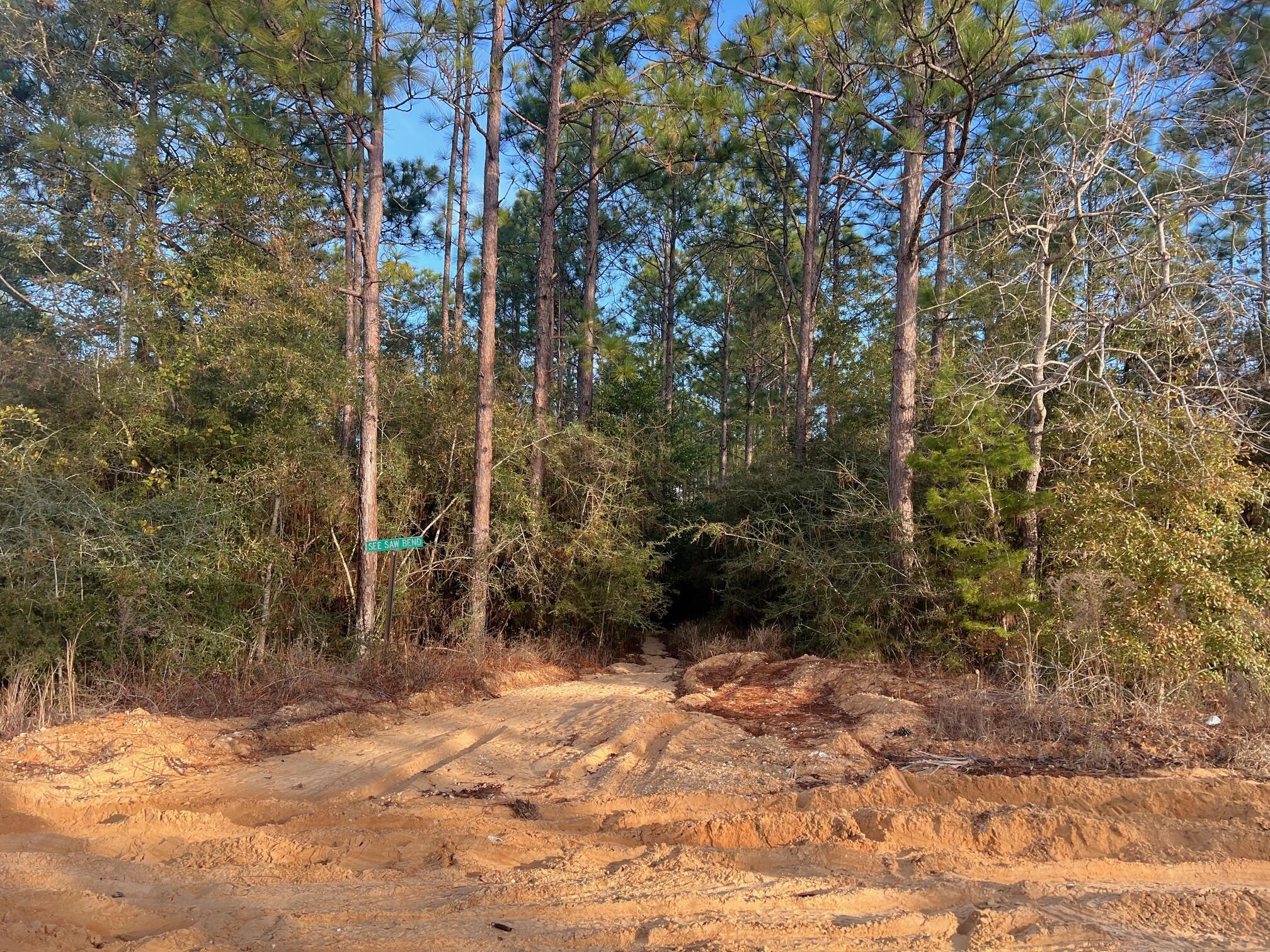 Two lots, totaling just over 1/2 acre, in growing Mossy Head area of Defuniak Springs. This is a platted subdivision, with dedicated road access, but the access road has not been cleared. Would need to verify availability of public water with Mossy Head Water Works. Septic tank would be required