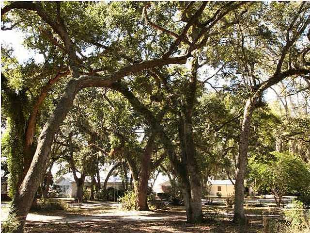 PRIDGEN'S UNRECD - Land