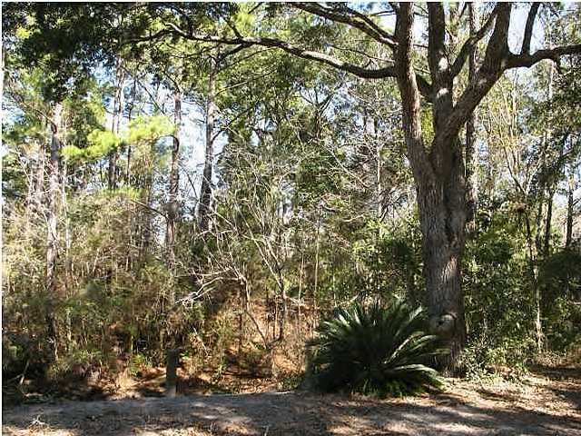 PRIDGEN'S UNRECD - Land