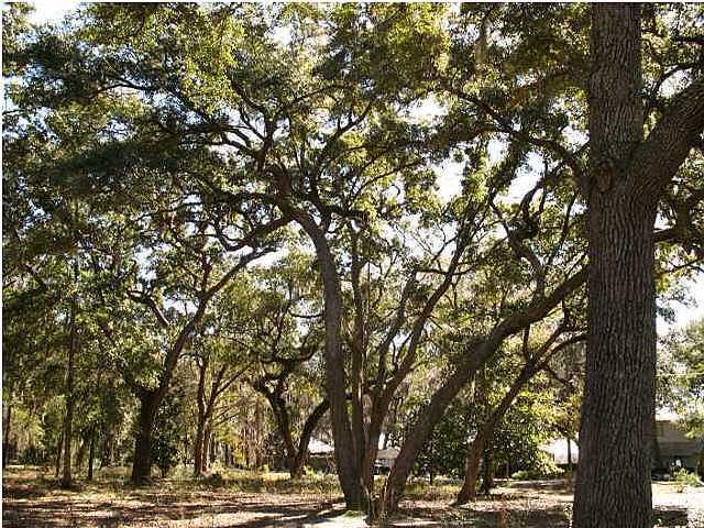 PRIDGEN'S UNRECD - Land