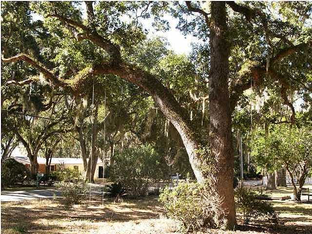 PRIDGEN'S UNRECD - Land