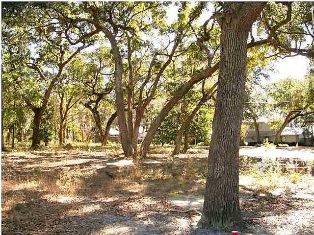 PRIDGEN'S UNRECD - Land