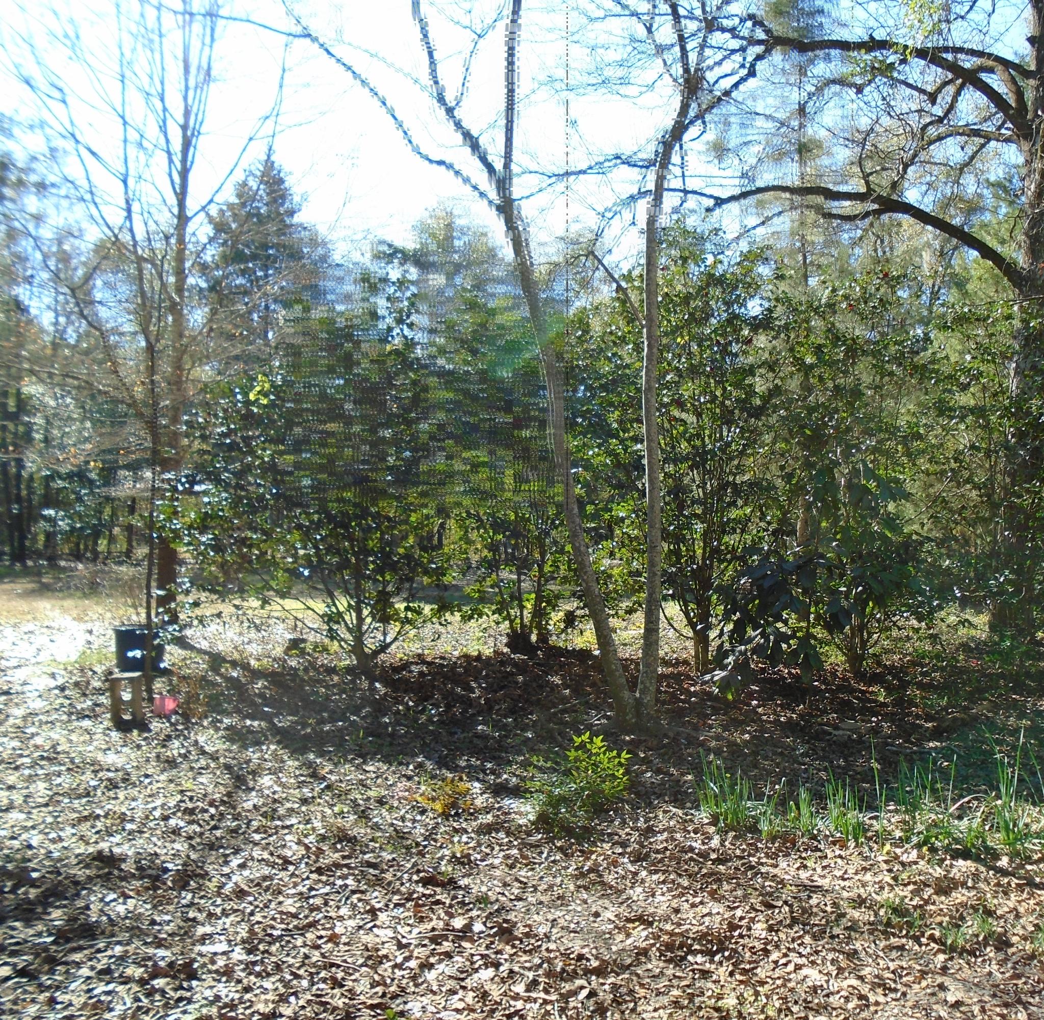 Metes and Bounds - Residential