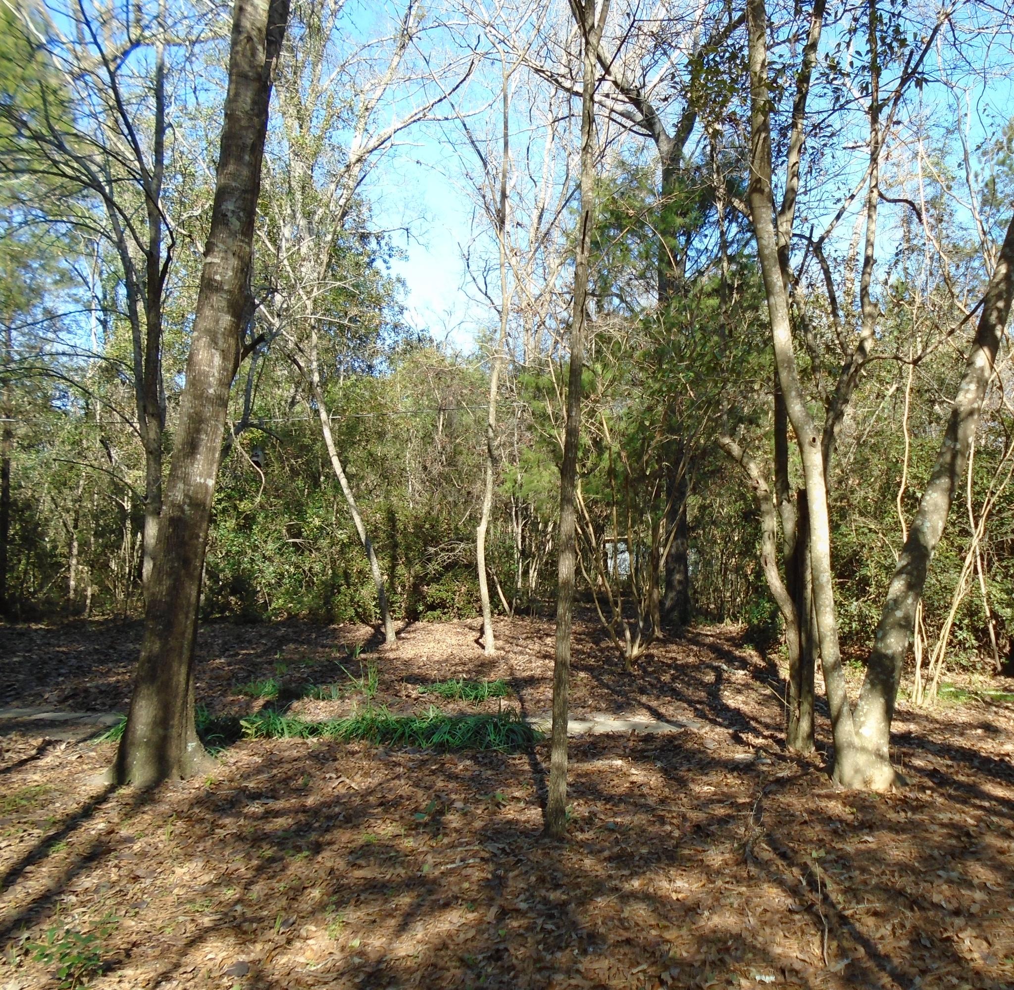 Metes and Bounds - Residential