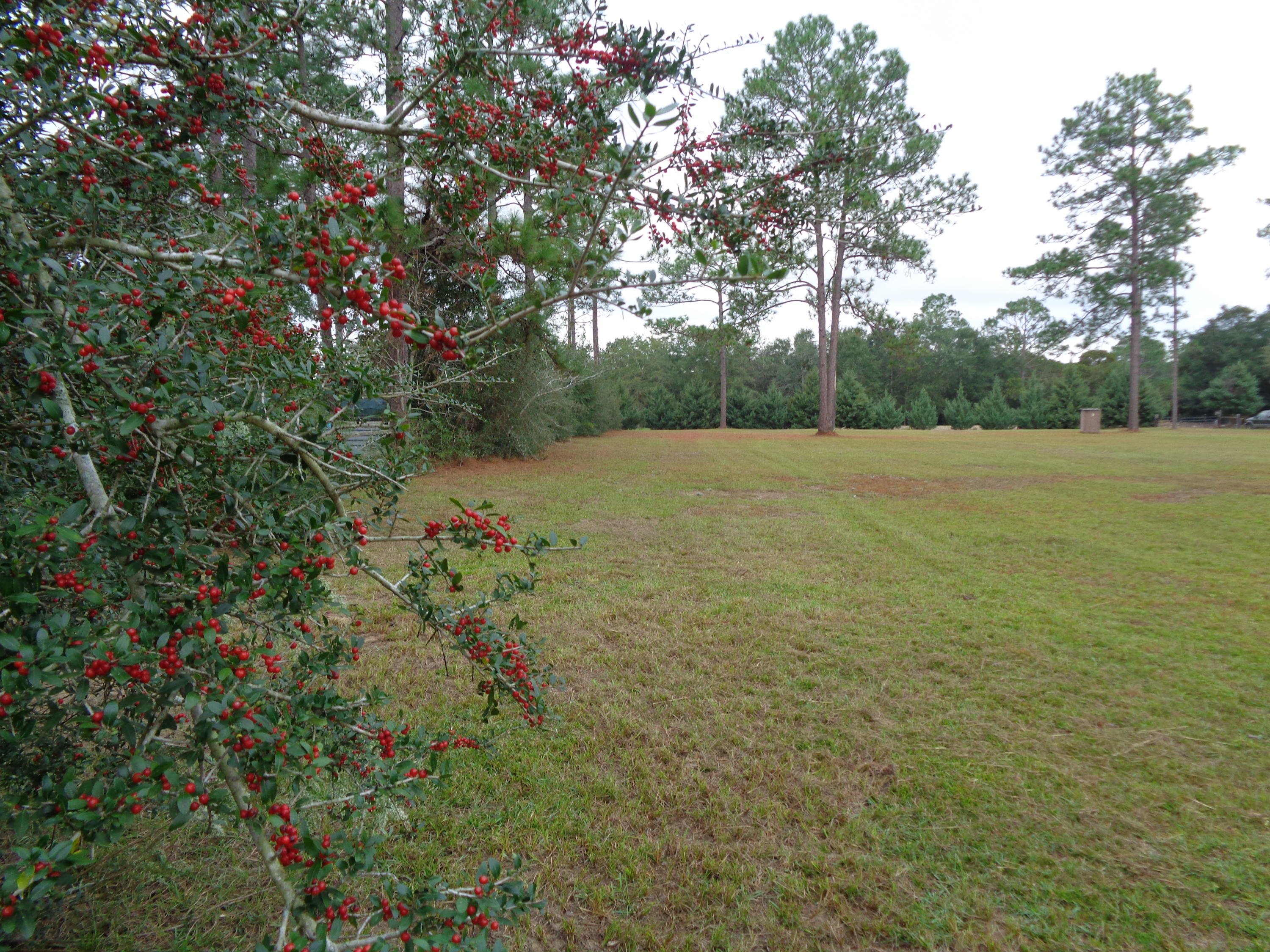 PINEWOOD ACRES - Residential