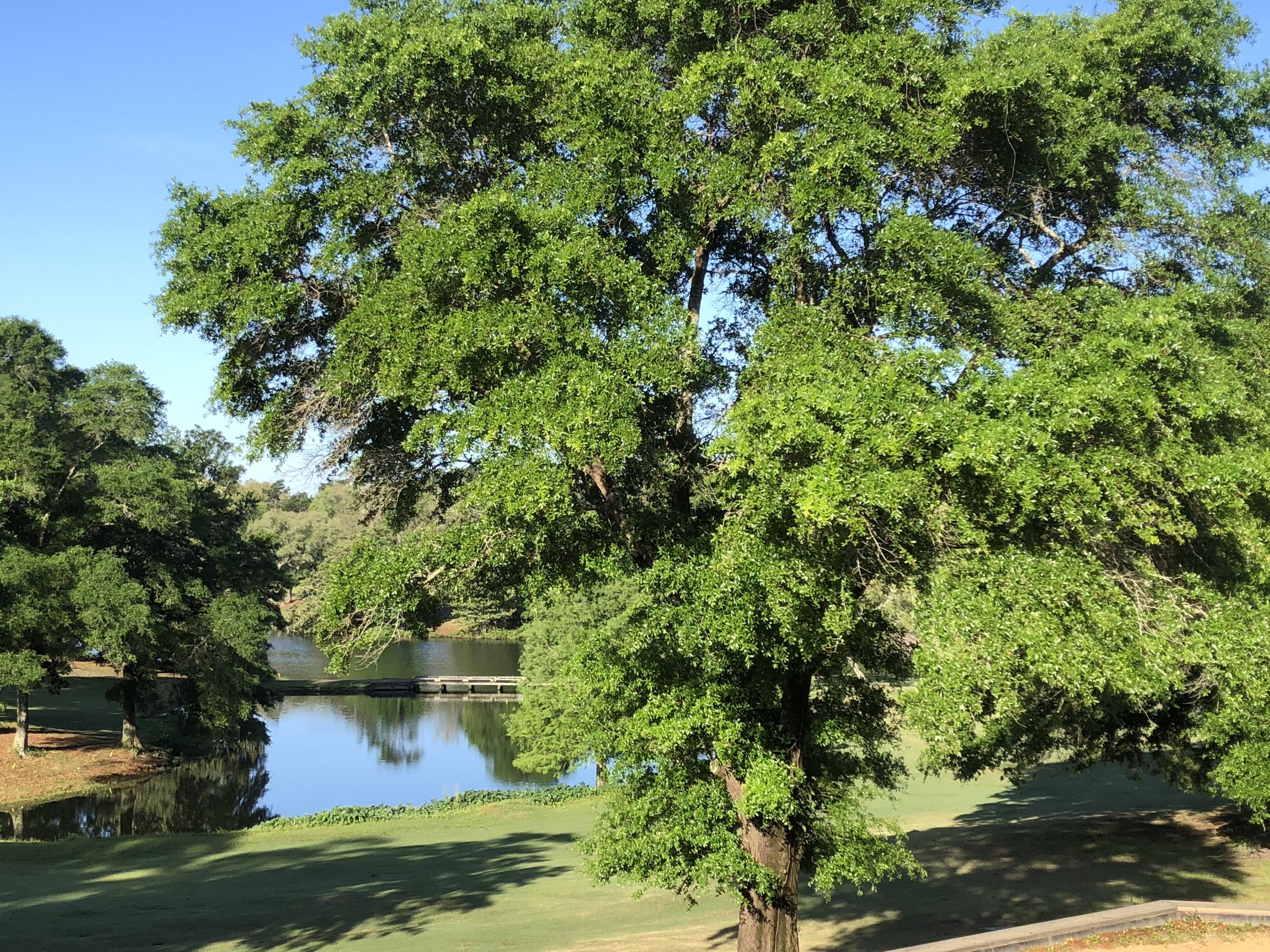 ROCKY BAYOU COUNTRY CLUB ESTATES 10 - Residential