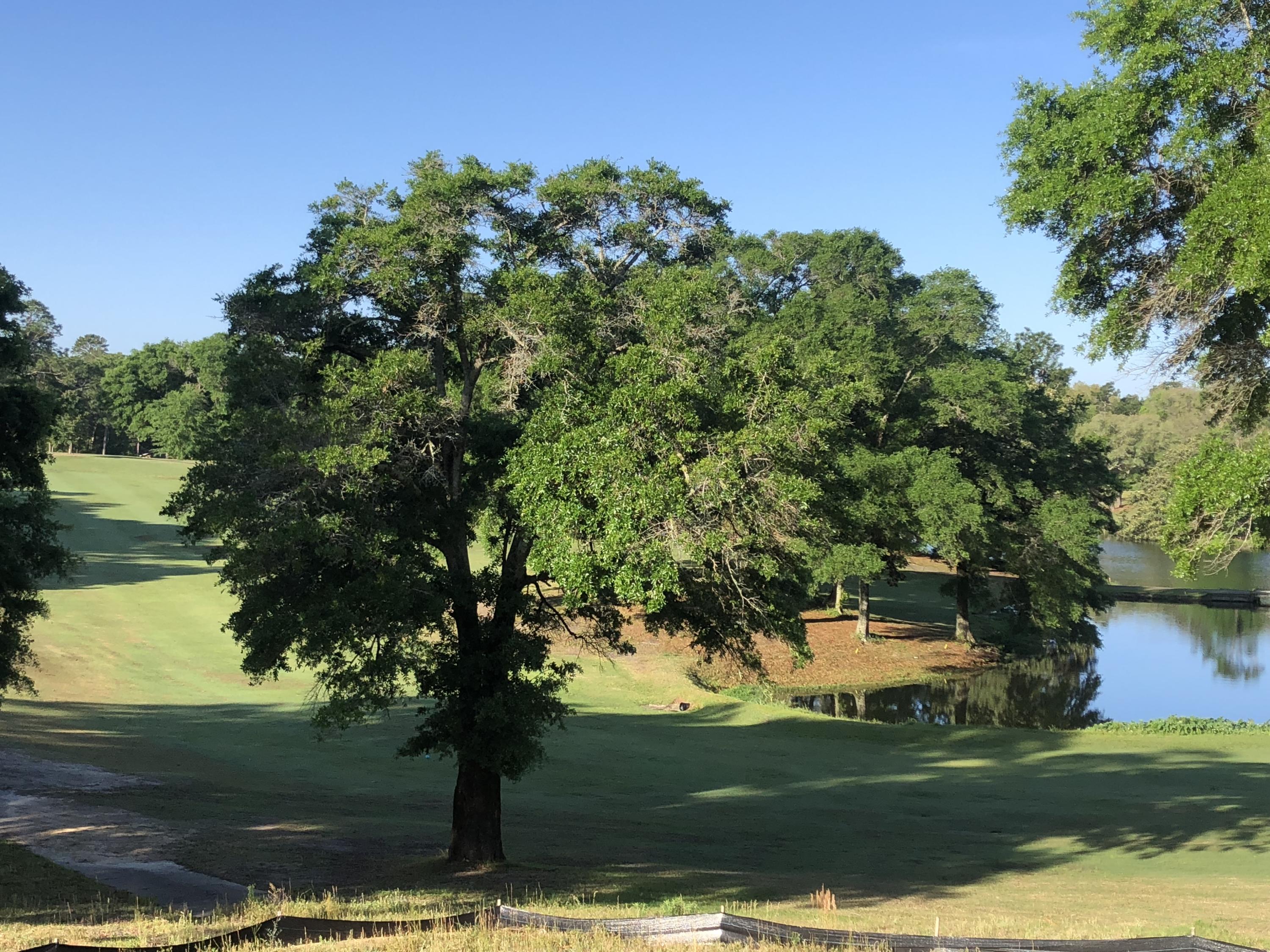 ROCKY BAYOU COUNTRY CLUB ESTATES 10 - Residential