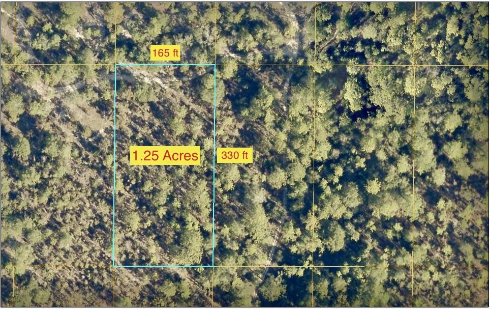 GO OFF GRID....This property is partially cleared with no recorded legal access at this time. There are 4 wheeler trails throughout the area to currently access. This is a great opportunity to be off grid. Camp & use as a private hunting retreat or hold for future investment. Some partial clearing has been done for camping or food plots. Property is high & dry but there is a creek nearby, making for prime hunting territory. There is also a recent survey available.