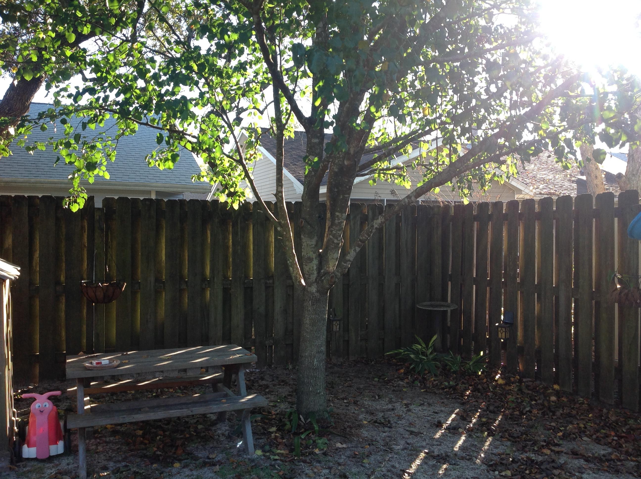 BLUE PINE VILLAGE AMENDED - Residential