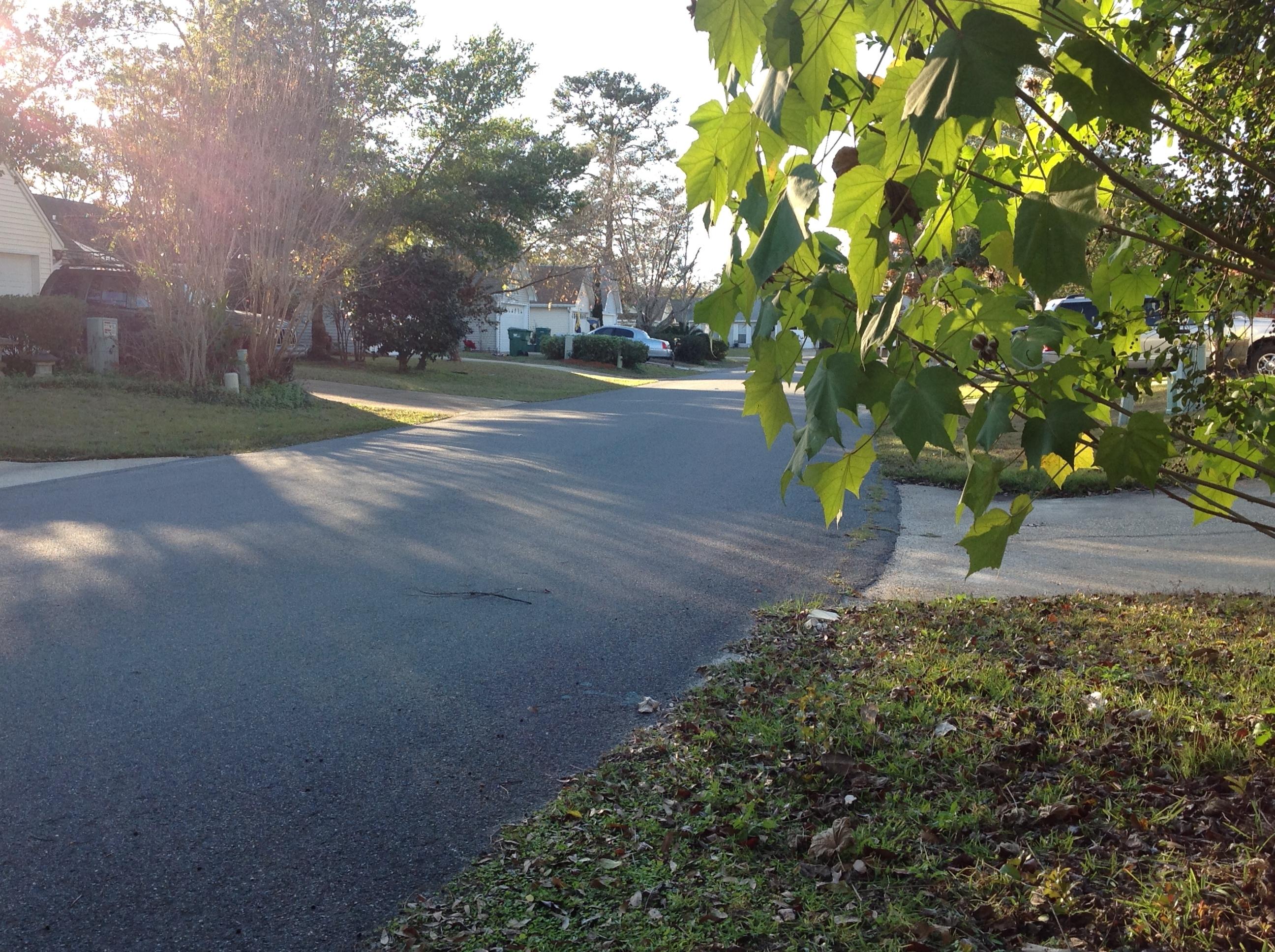 BLUE PINE VILLAGE AMENDED - Residential