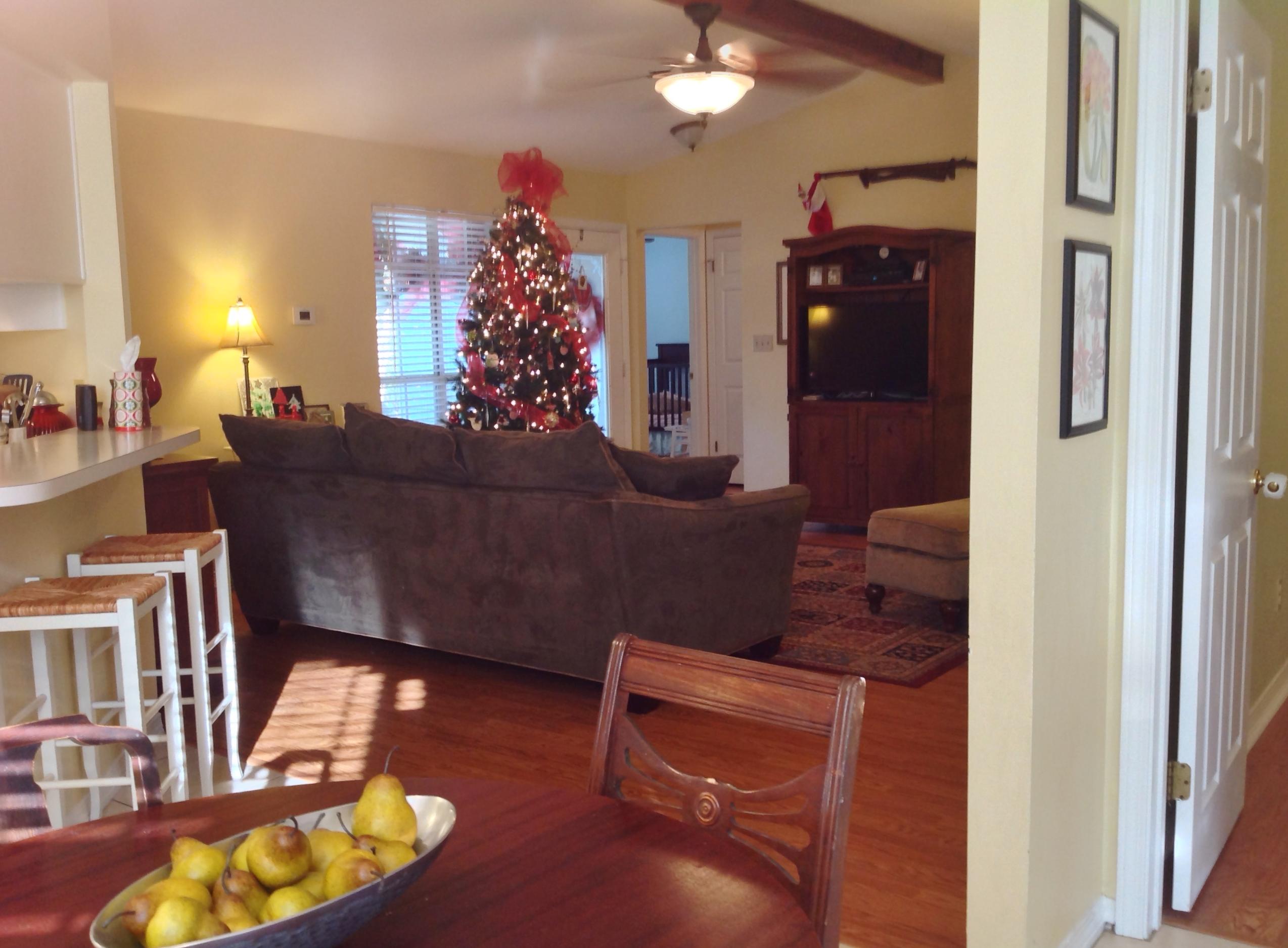 BLUE PINE VILLAGE AMENDED - Residential