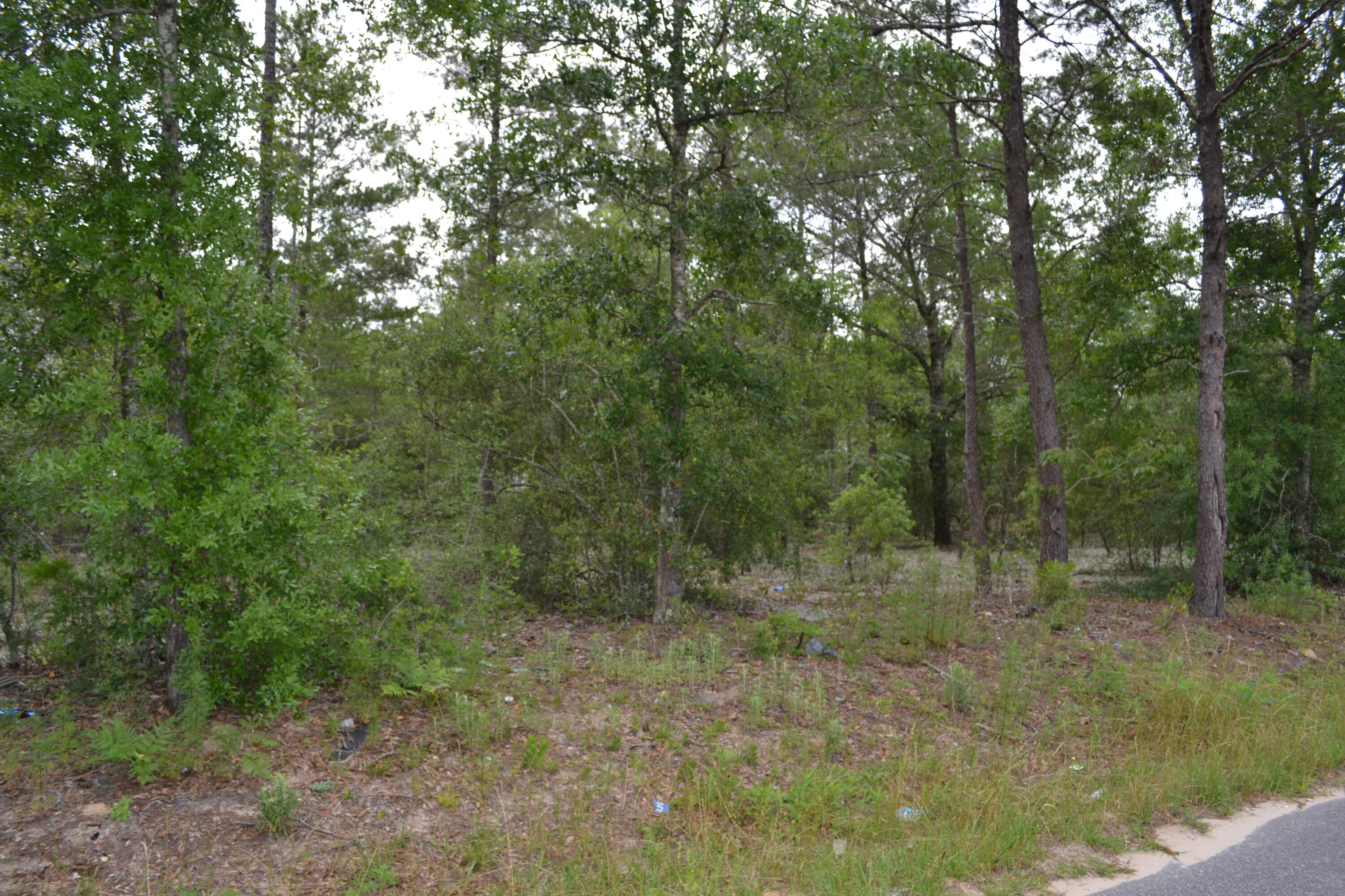 OAKWOOD LAKES ESTATES - Land