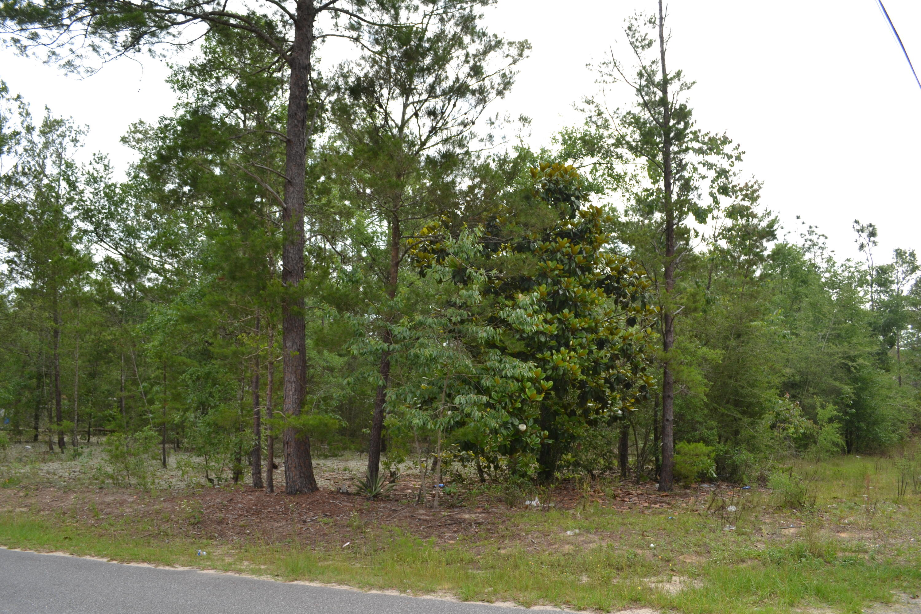 OAKWOOD LAKES ESTATES - Land