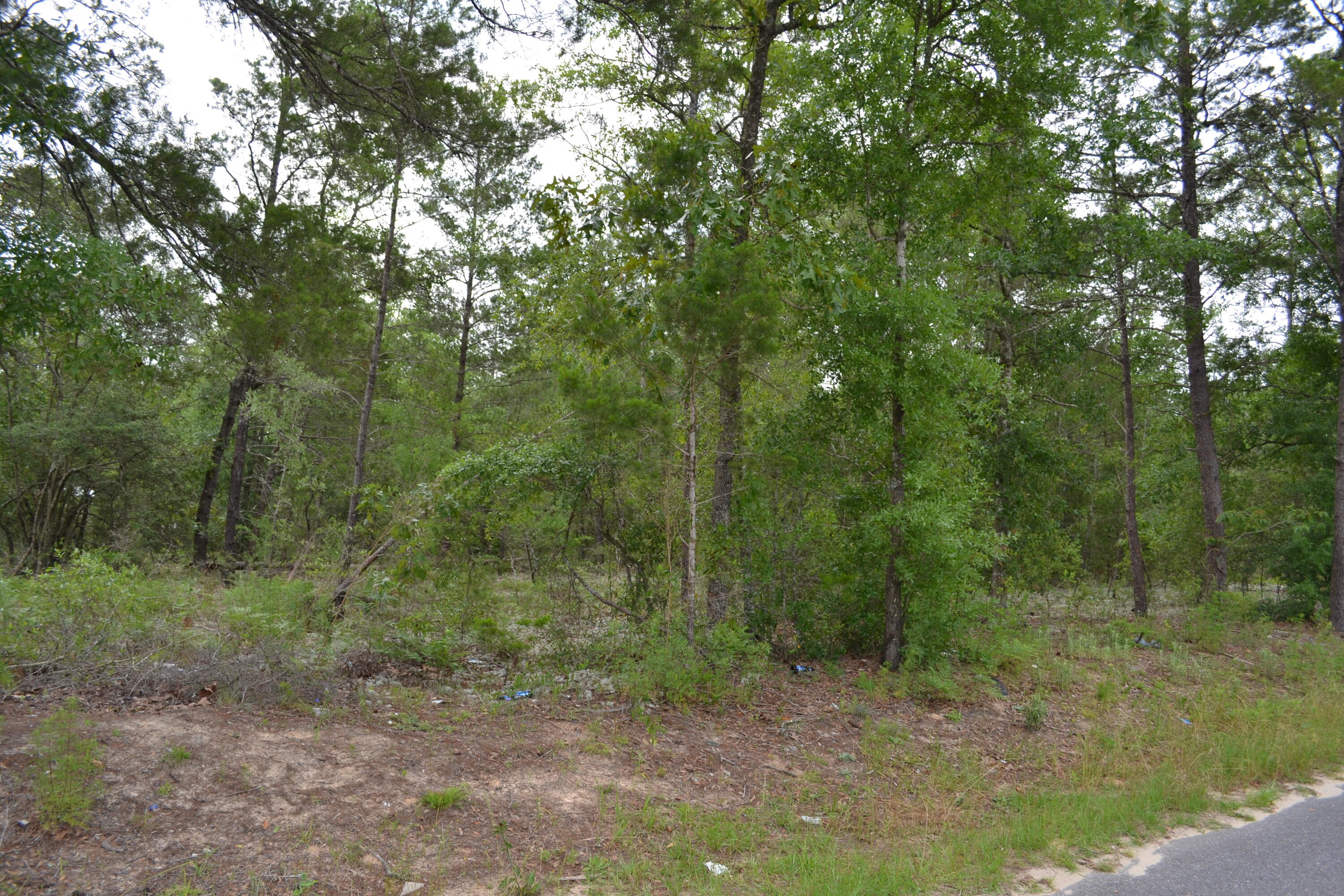 OAKWOOD LAKES ESTATES - Land