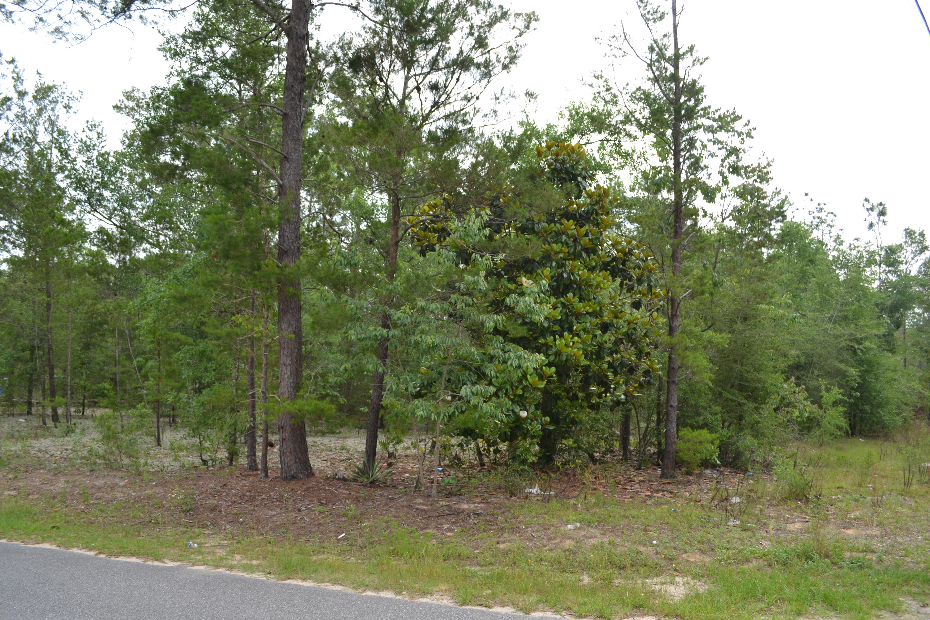 OAKWOOD LAKES ESTATES - Land