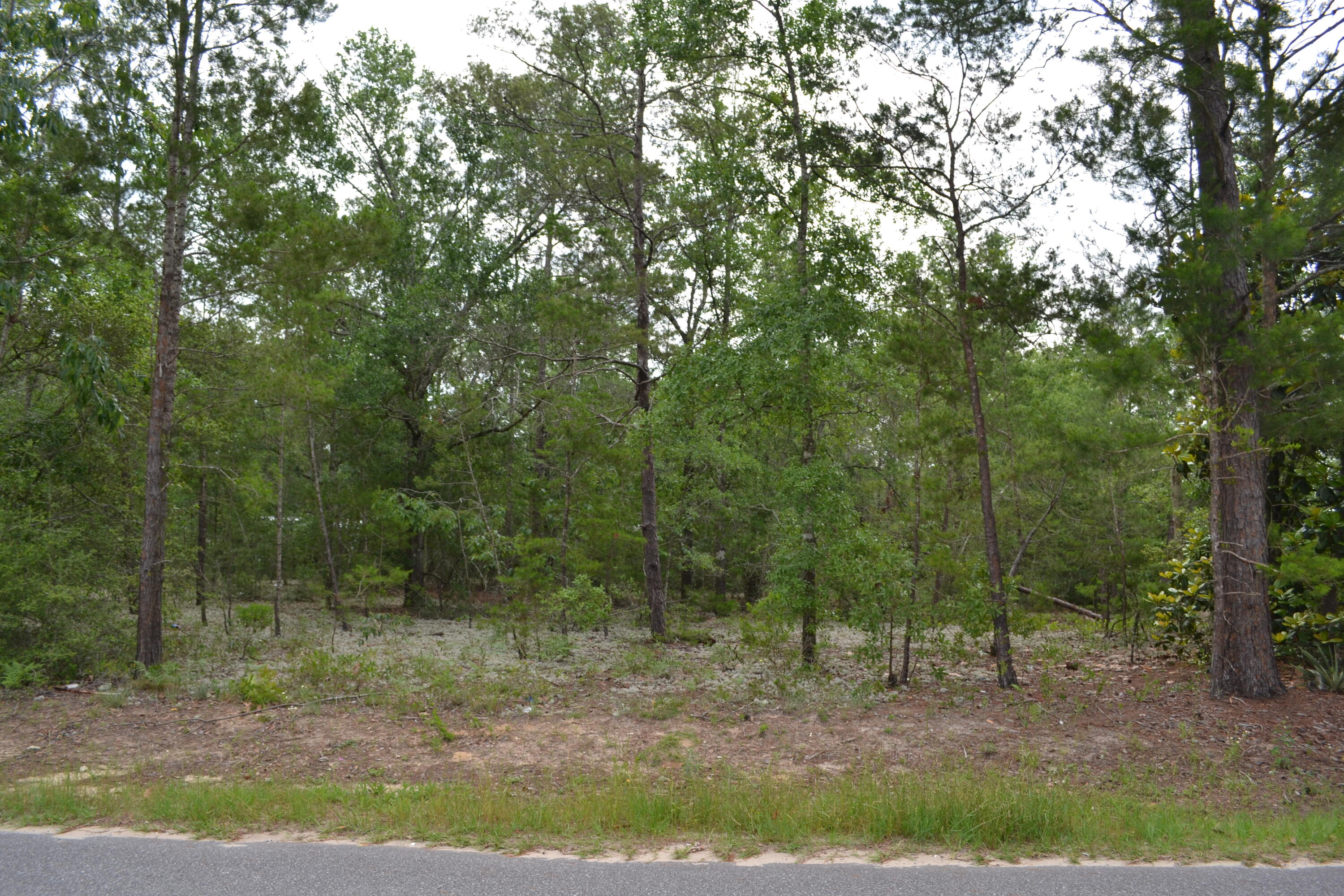 Nice lot for a mobile or new construction. City water available. This would be a great lot for a home or RV. Short drive to the Beach.