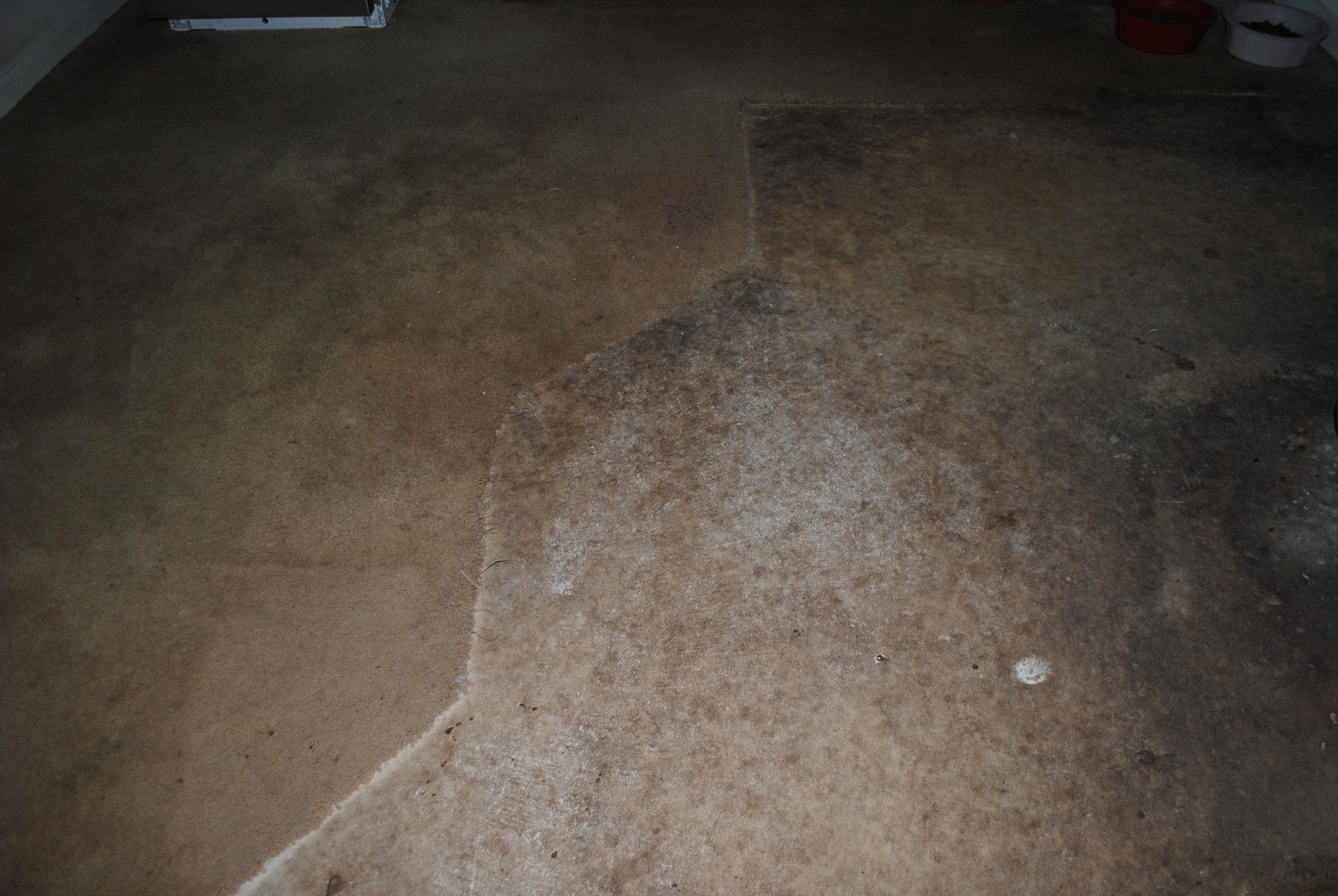 PINEWOOD ESTATES - Residential