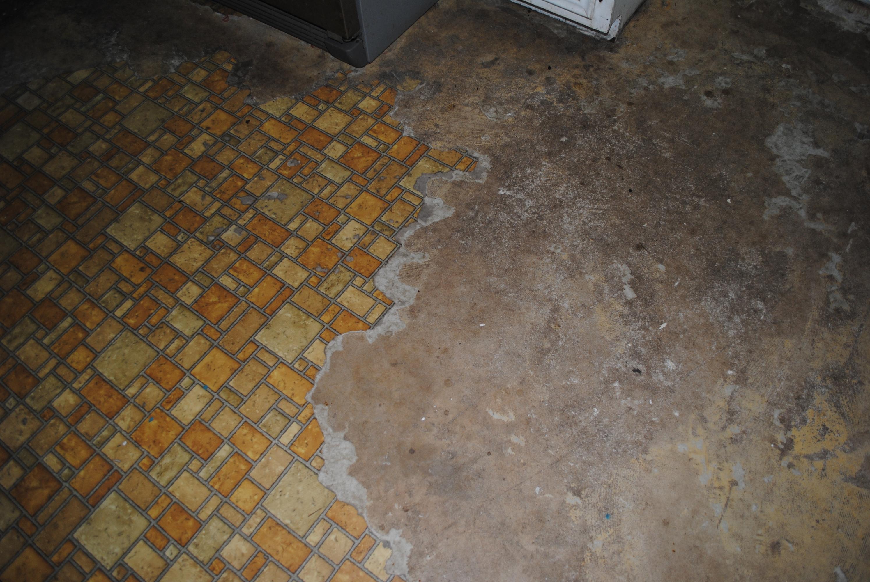 PINEWOOD ESTATES - Residential